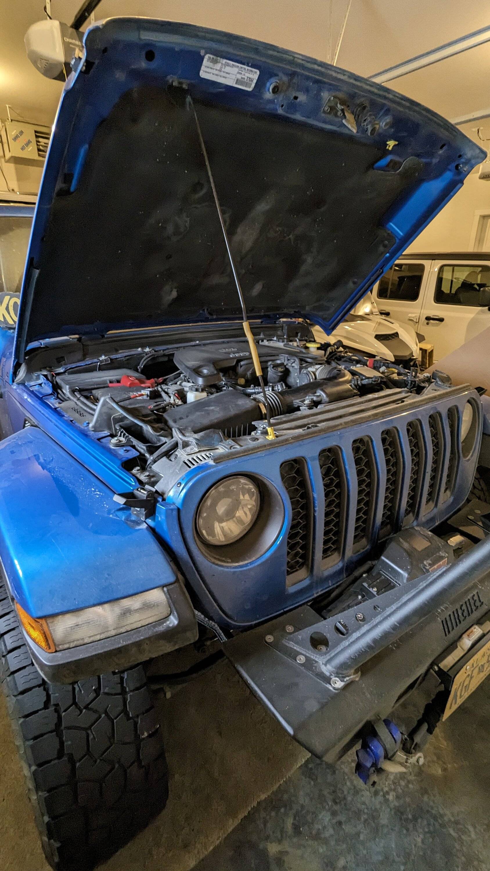 Jeep Gladiator Alaska Daily Drivers: Hydro Blue 80A and Bright White JTR PXL_20240217_223347786.MP