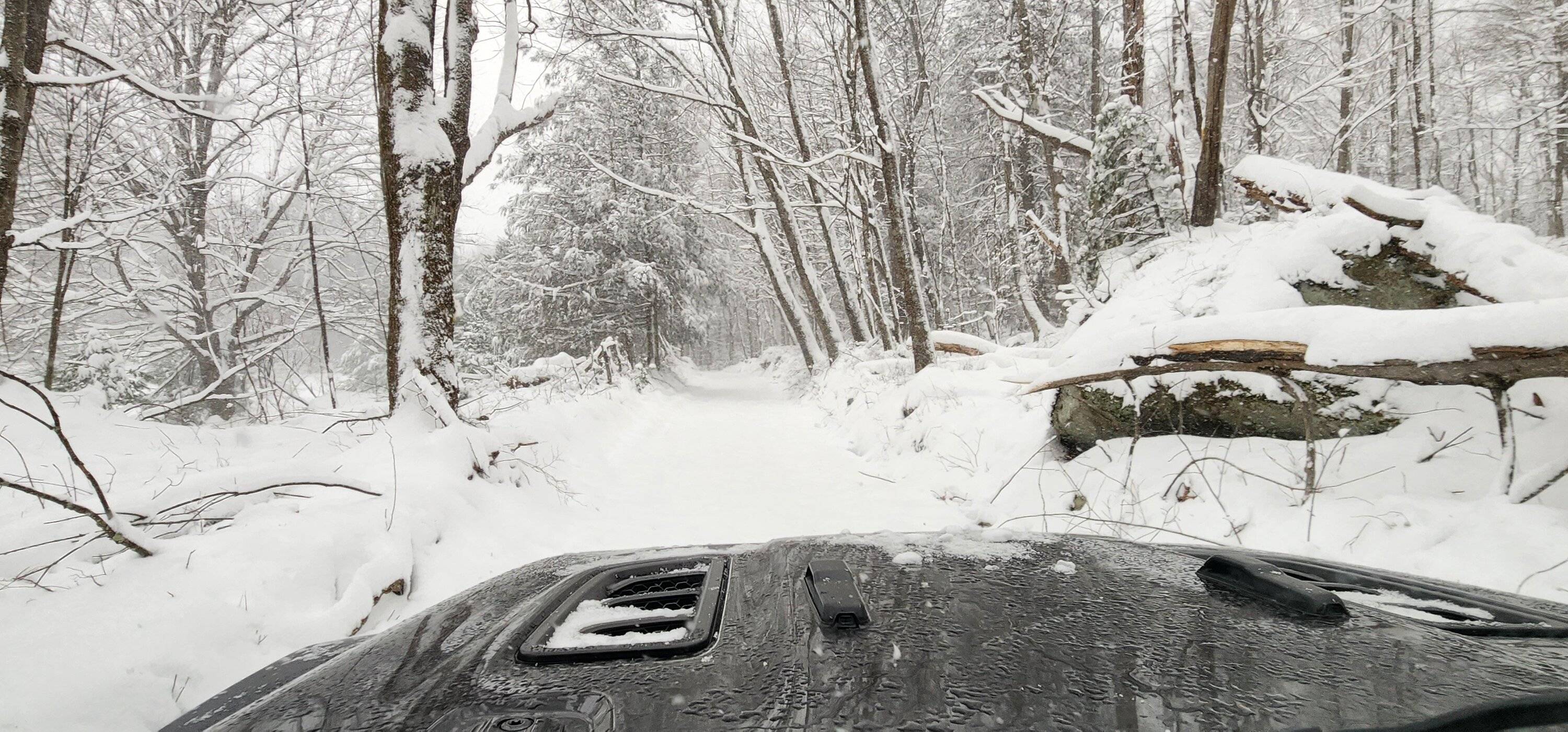 Jeep Gladiator Gladiators Snow Wheeling - Post Your Pics! 20240217_135006