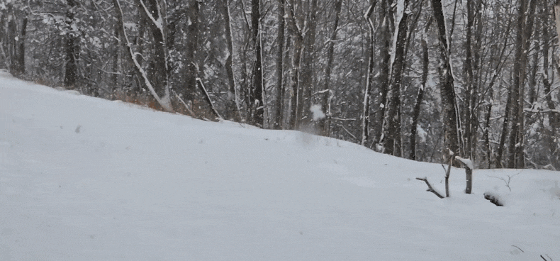 Jeep Gladiator Gladiators Snow Wheeling - Post Your Pics! 20240217_135118_1