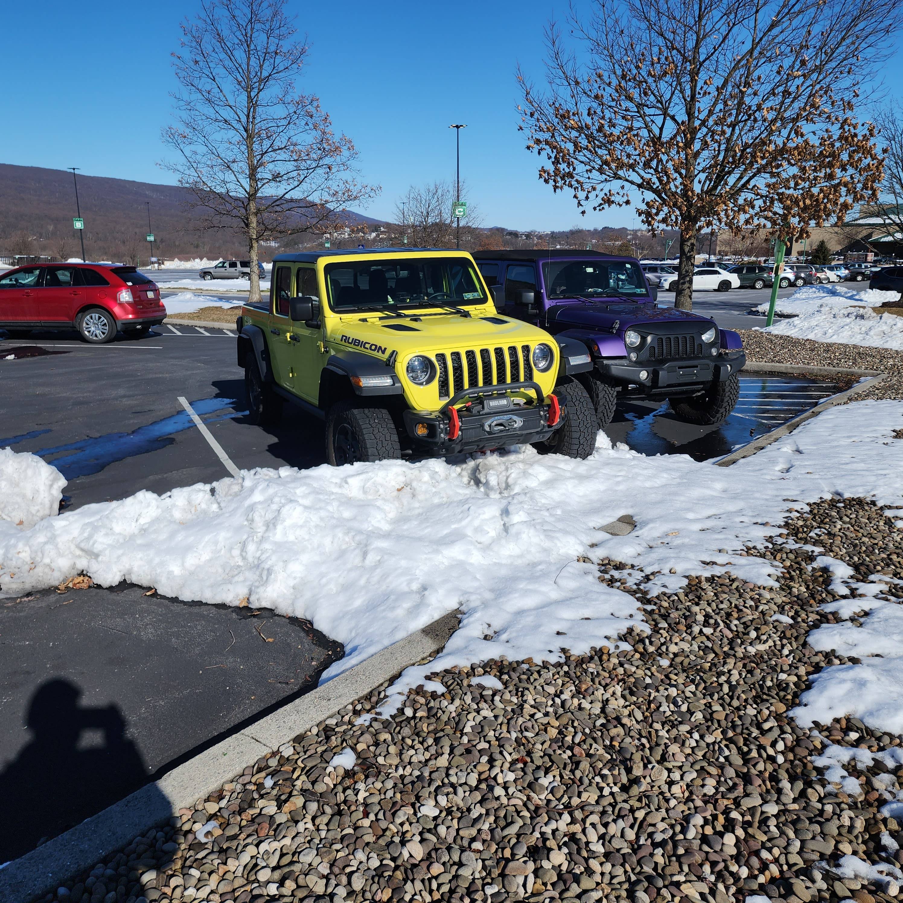 Jeep Gladiator Jeeps Parking Next To Jeeps 1000008782