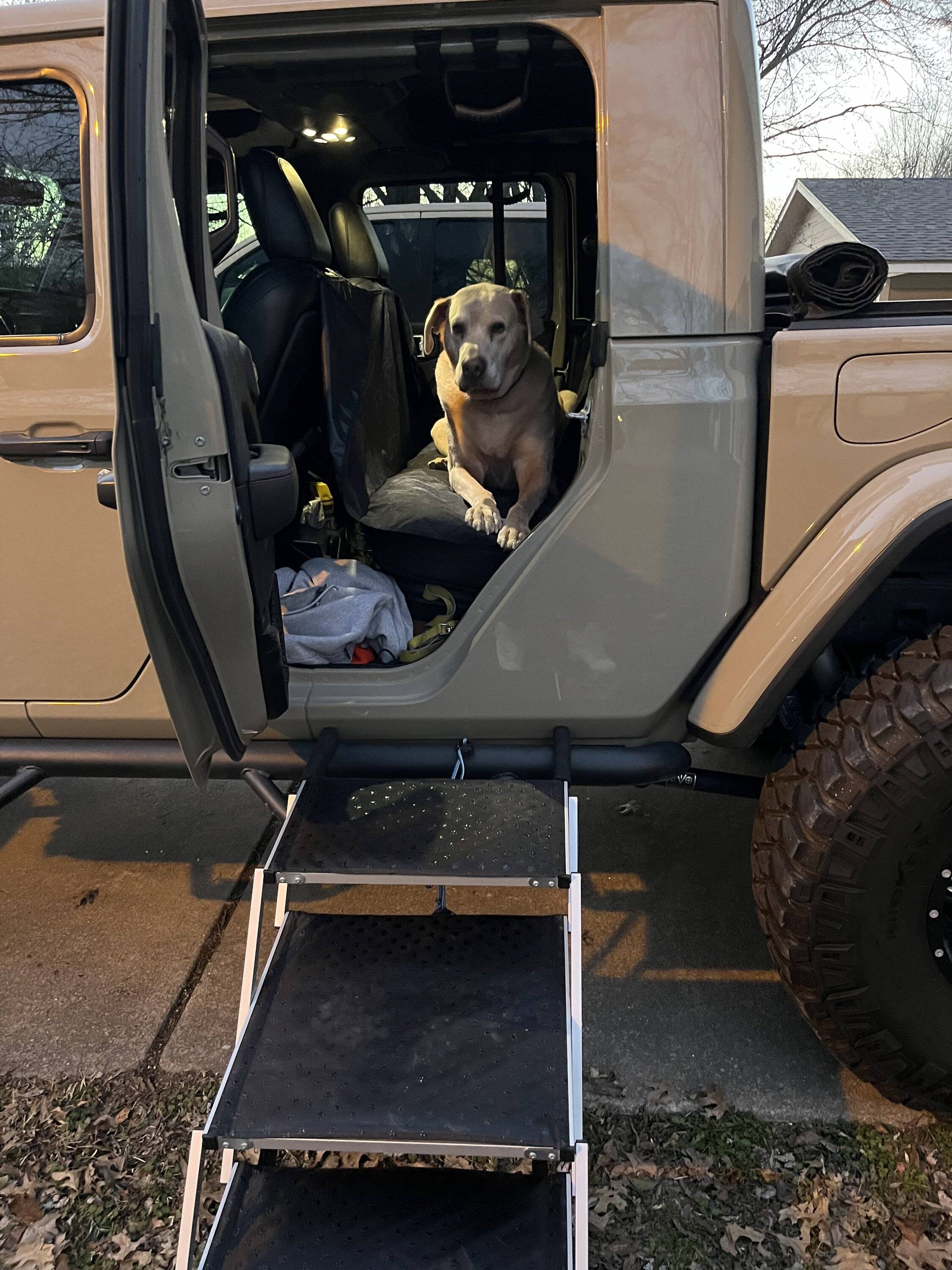 Jeep Gladiator Let’s see your pets cause they are the best companion you can have!!!!! IMG_8082