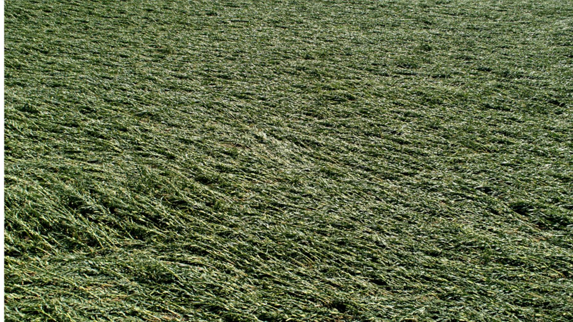 Jeep Gladiator Advice on Minimizing Getting Blown Around by Crosswinds iowa-derecho-crops-2-Getty-Images