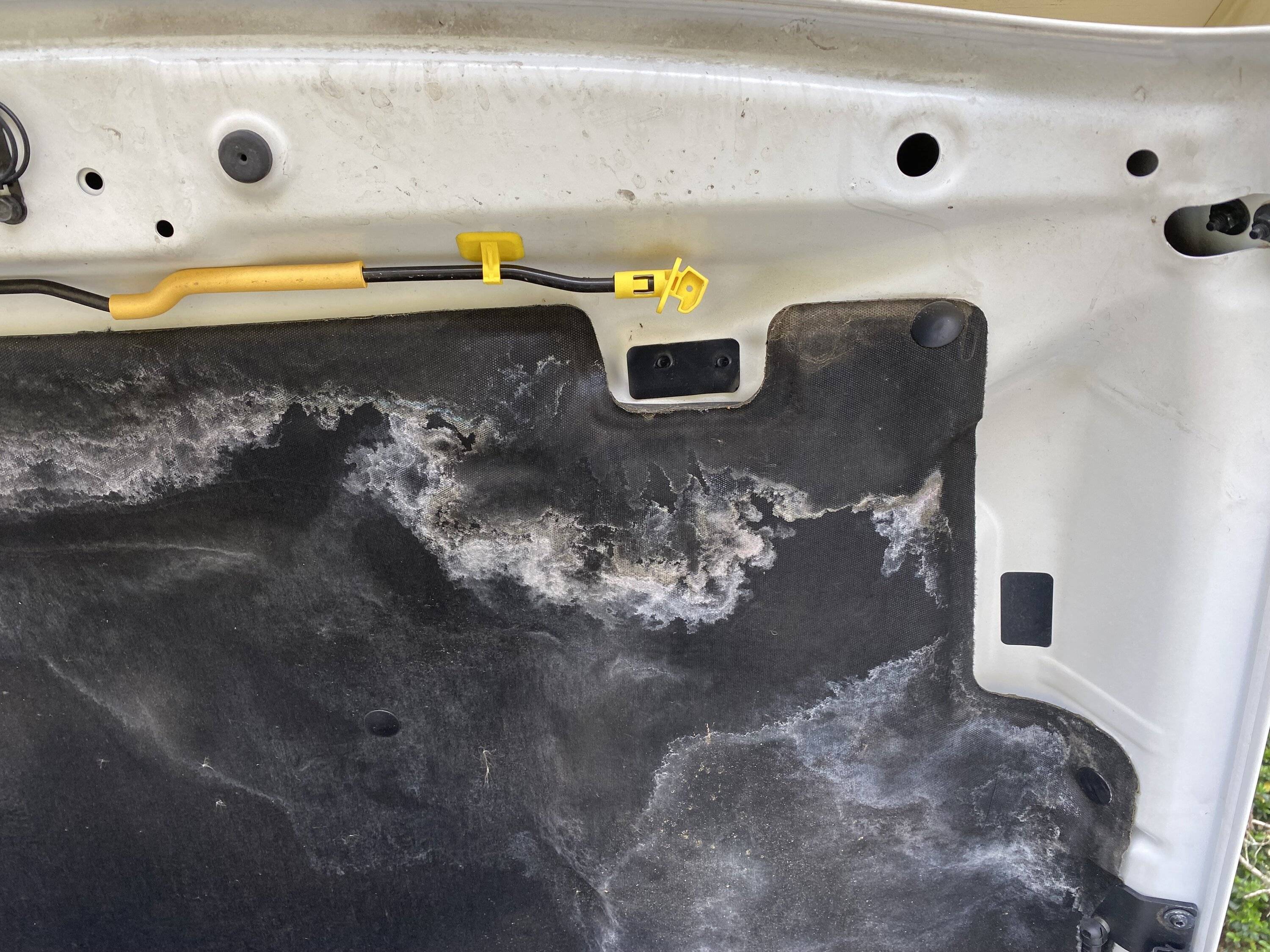 Jeep Gladiator HPFP Replacement Recall - Post Fix Review img_2312-jpe