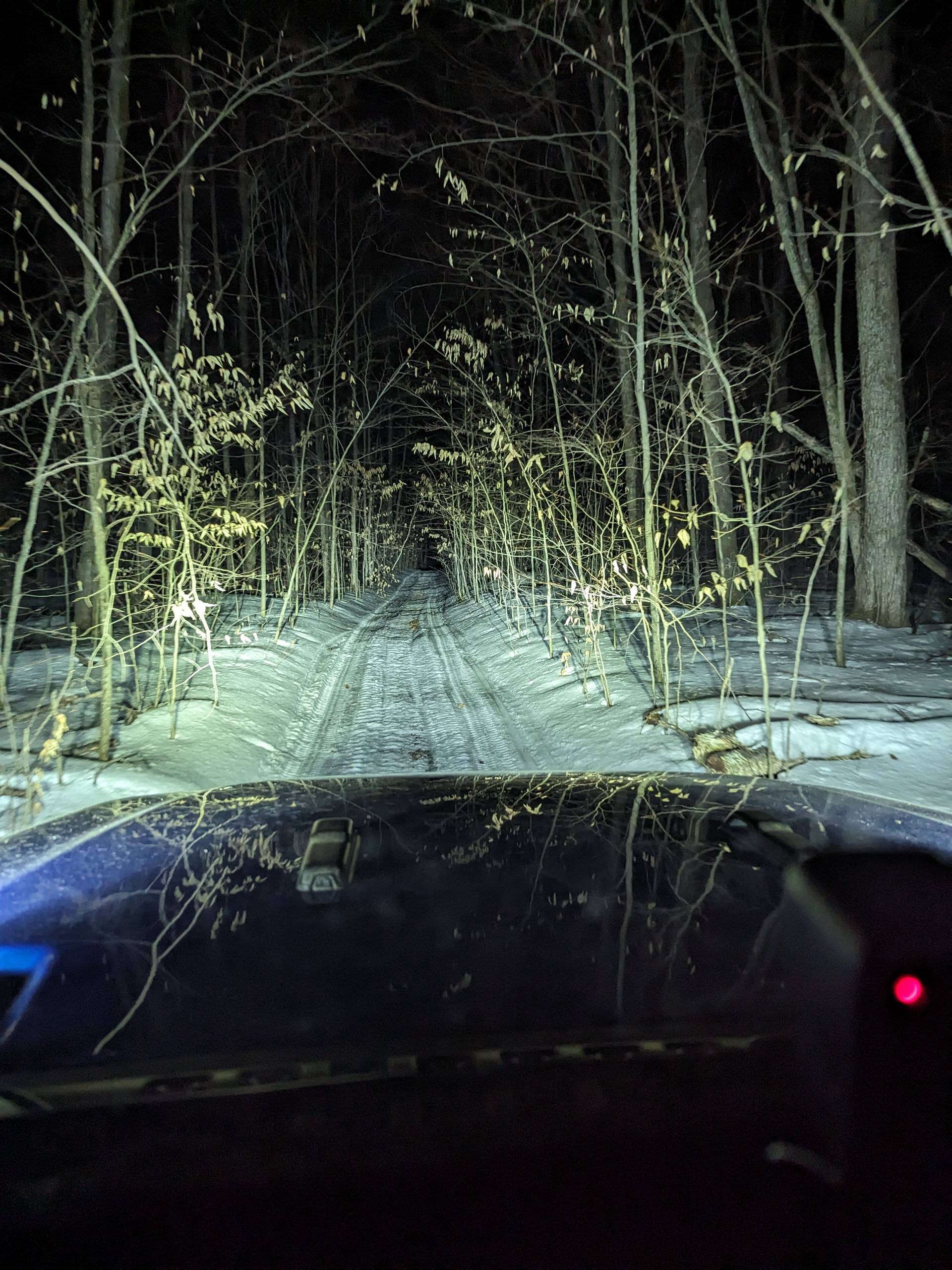 Jeep Gladiator Gladiators Snow Wheeling - Post Your Pics! PXL_20240224_030857028