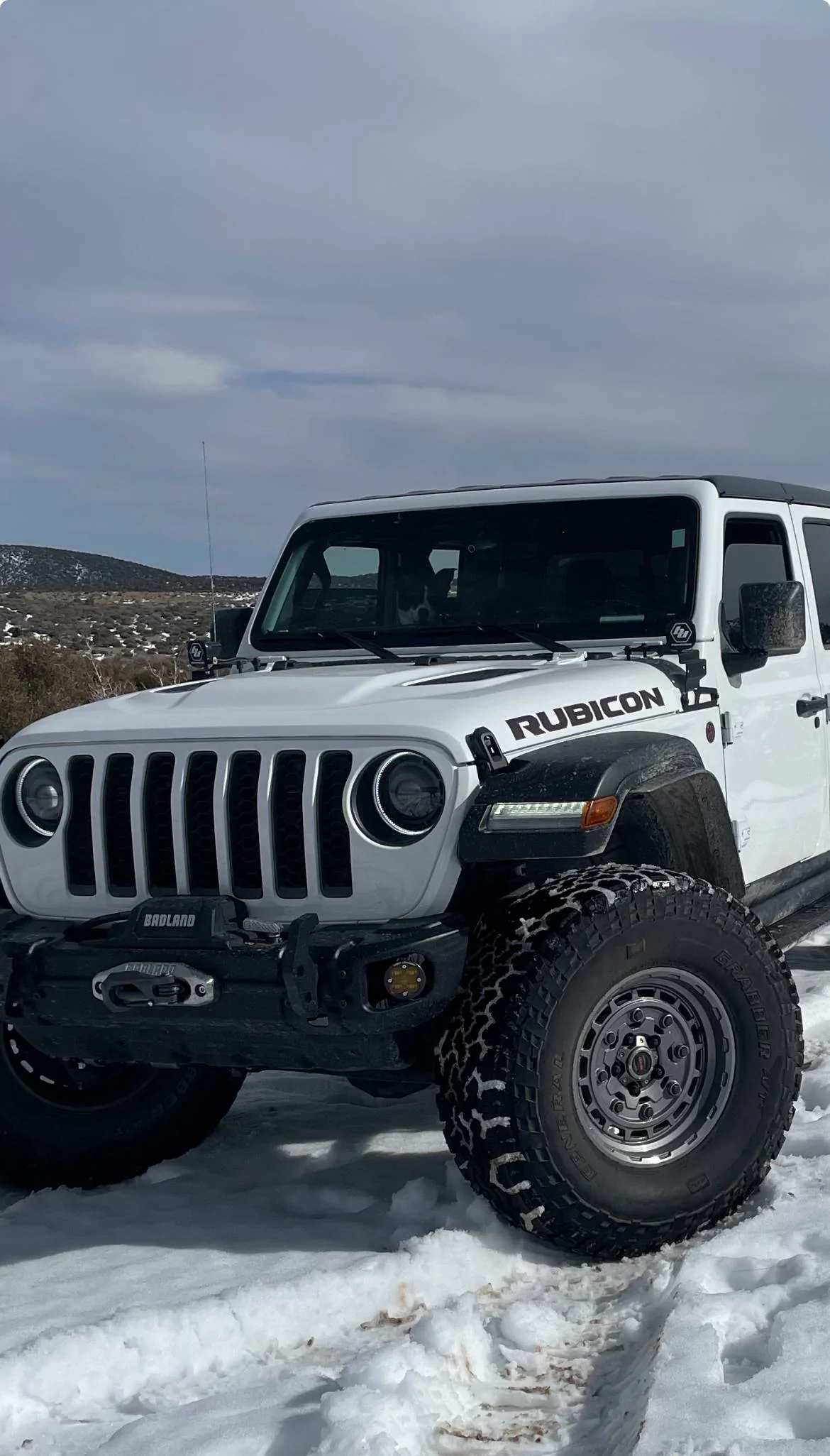 Jeep Gladiator Let’s see your pets cause they are the best companion you can have!!!!! IMG_2928