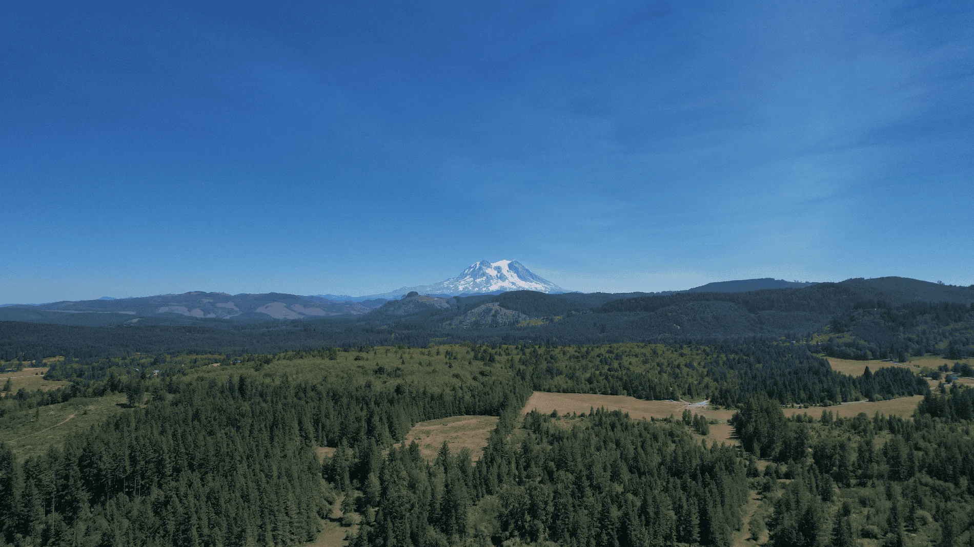 DJI_0274.webp