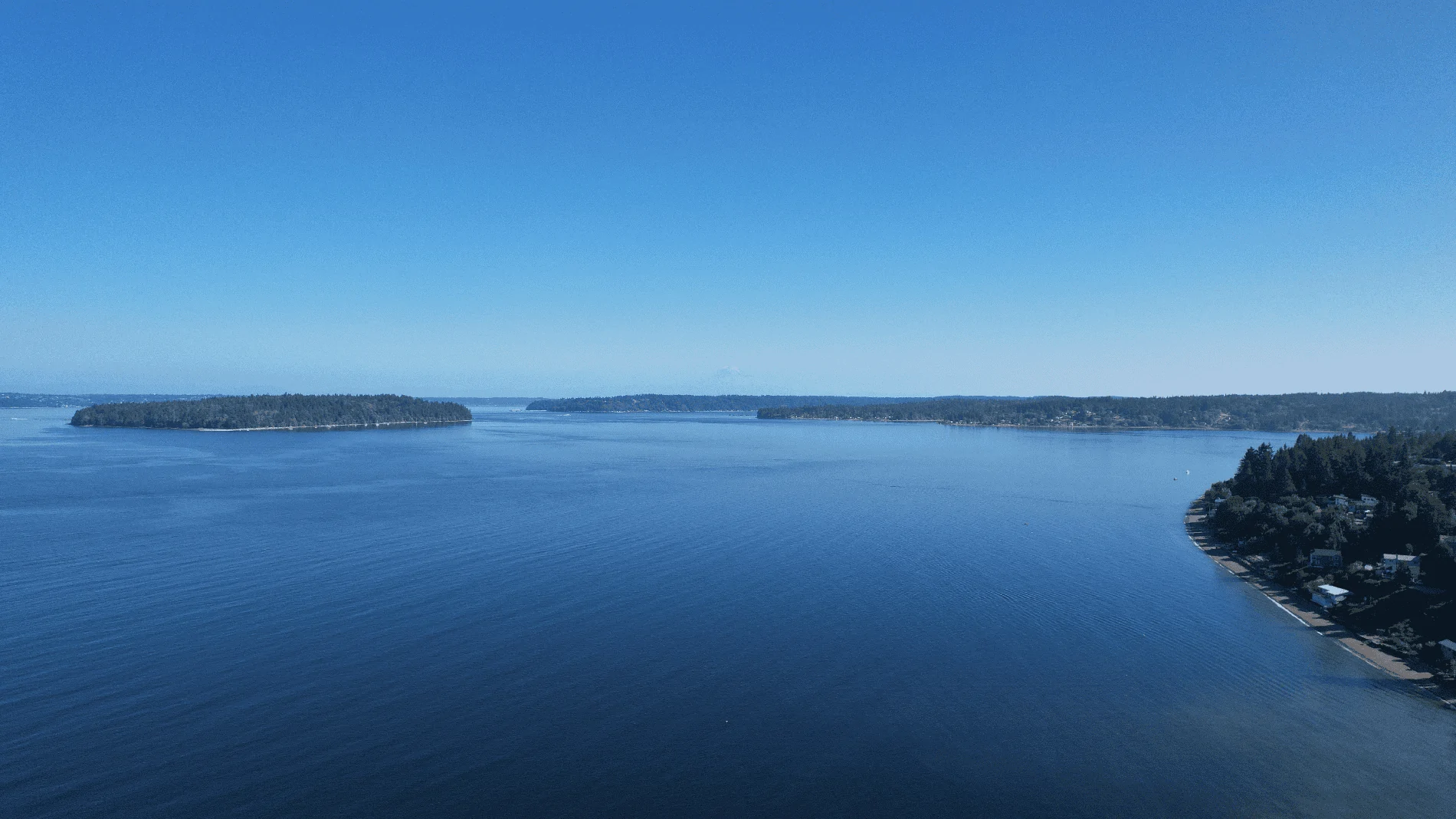 DJI_0317.webp
