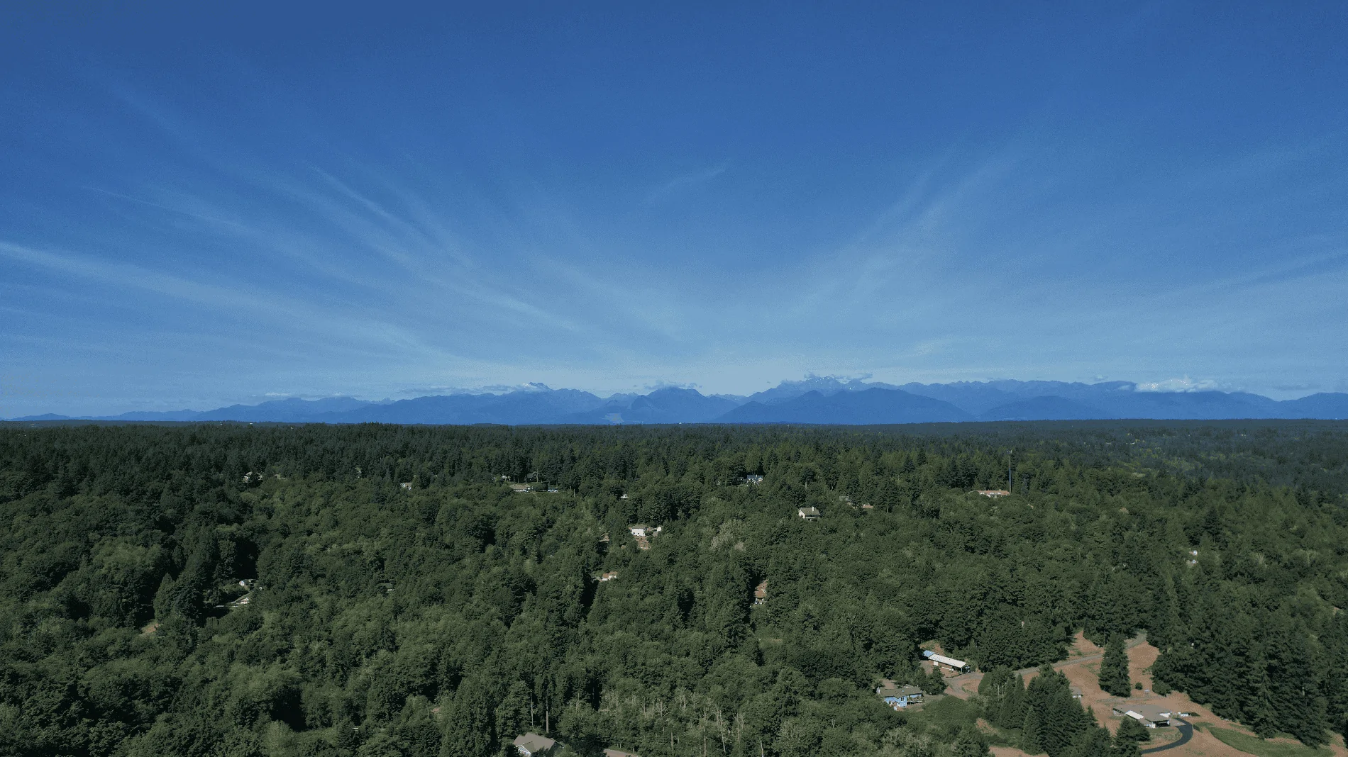 DJI_0241.webp