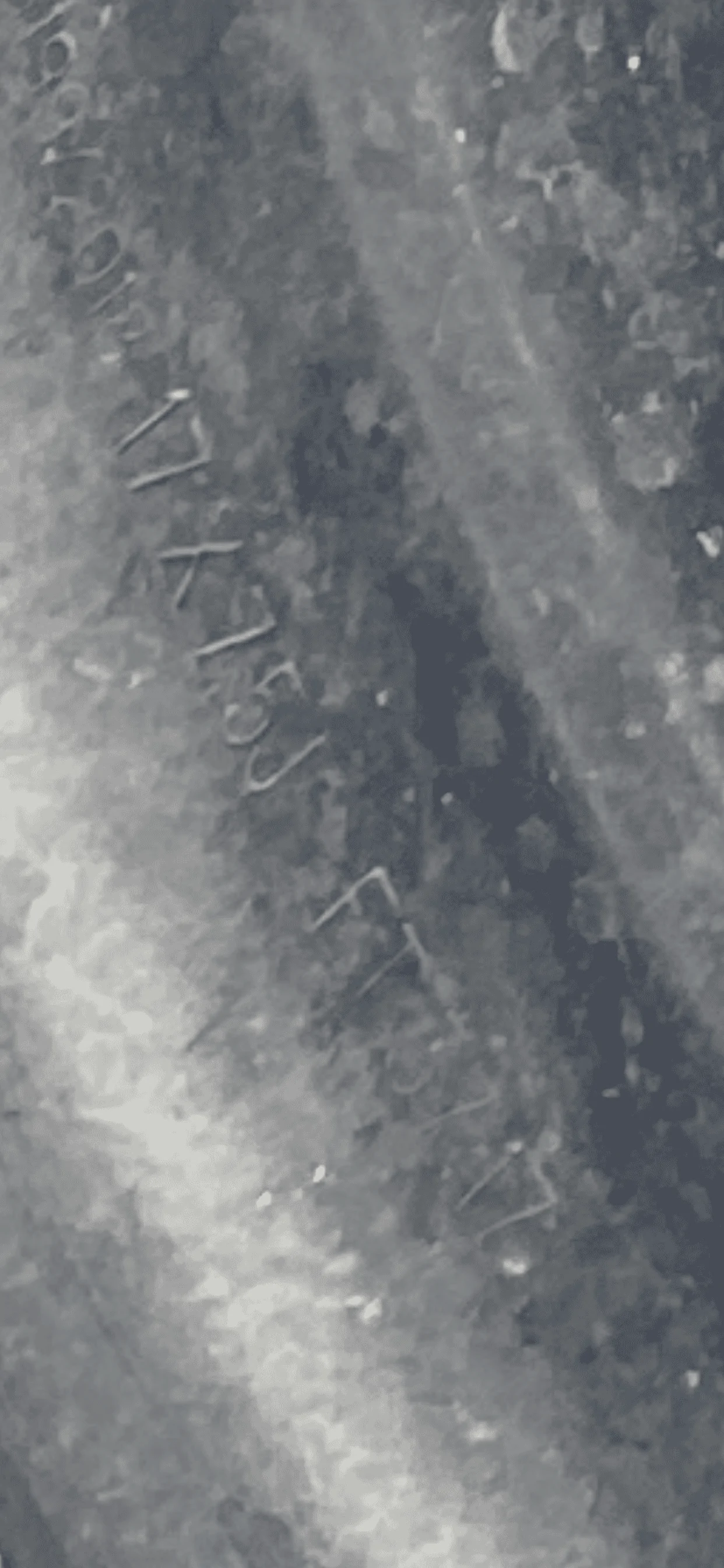 IMG_7821.png