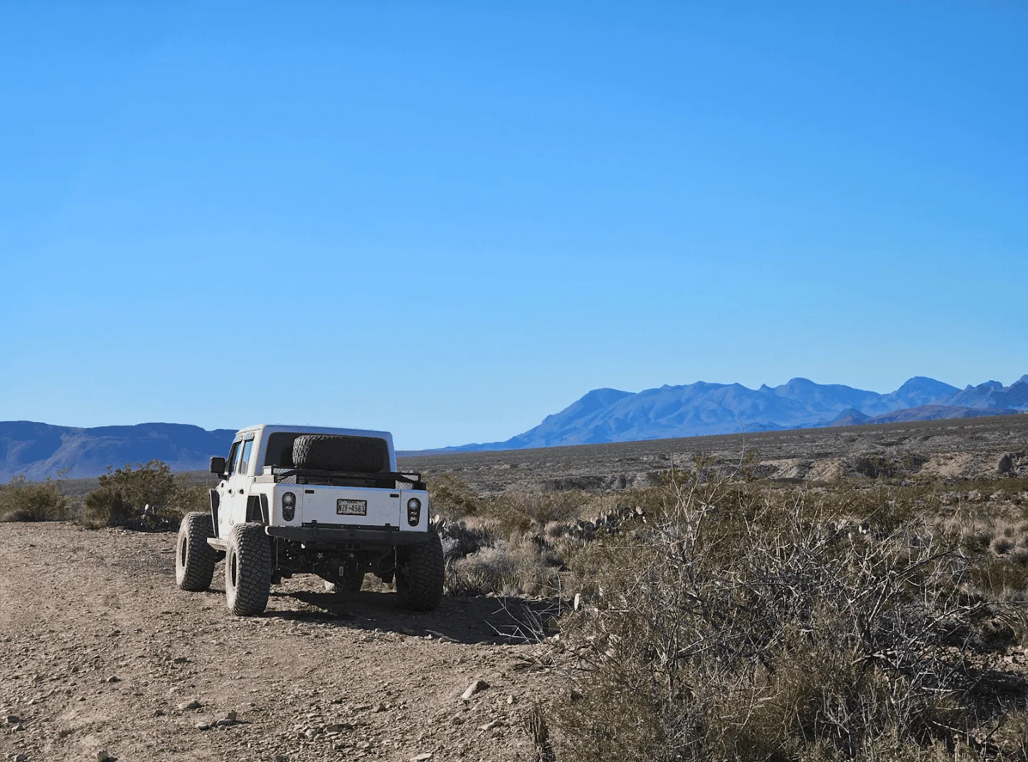 Jeep Gladiator Levi's JTR 'Do-Everything' Build 1709590752240