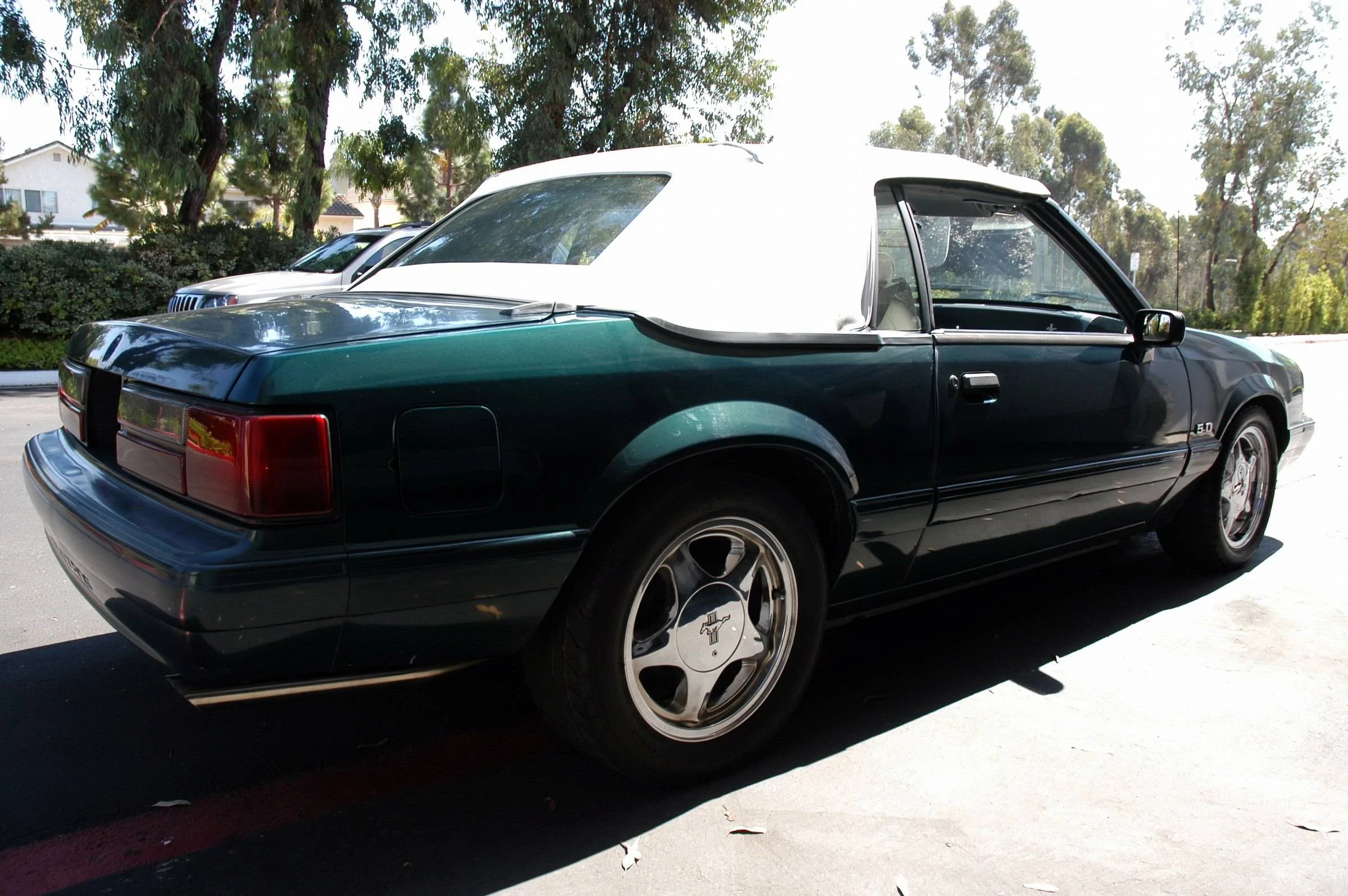 Jeep Gladiator My 03 cobra 2844484880045568646kjDWlW_fs