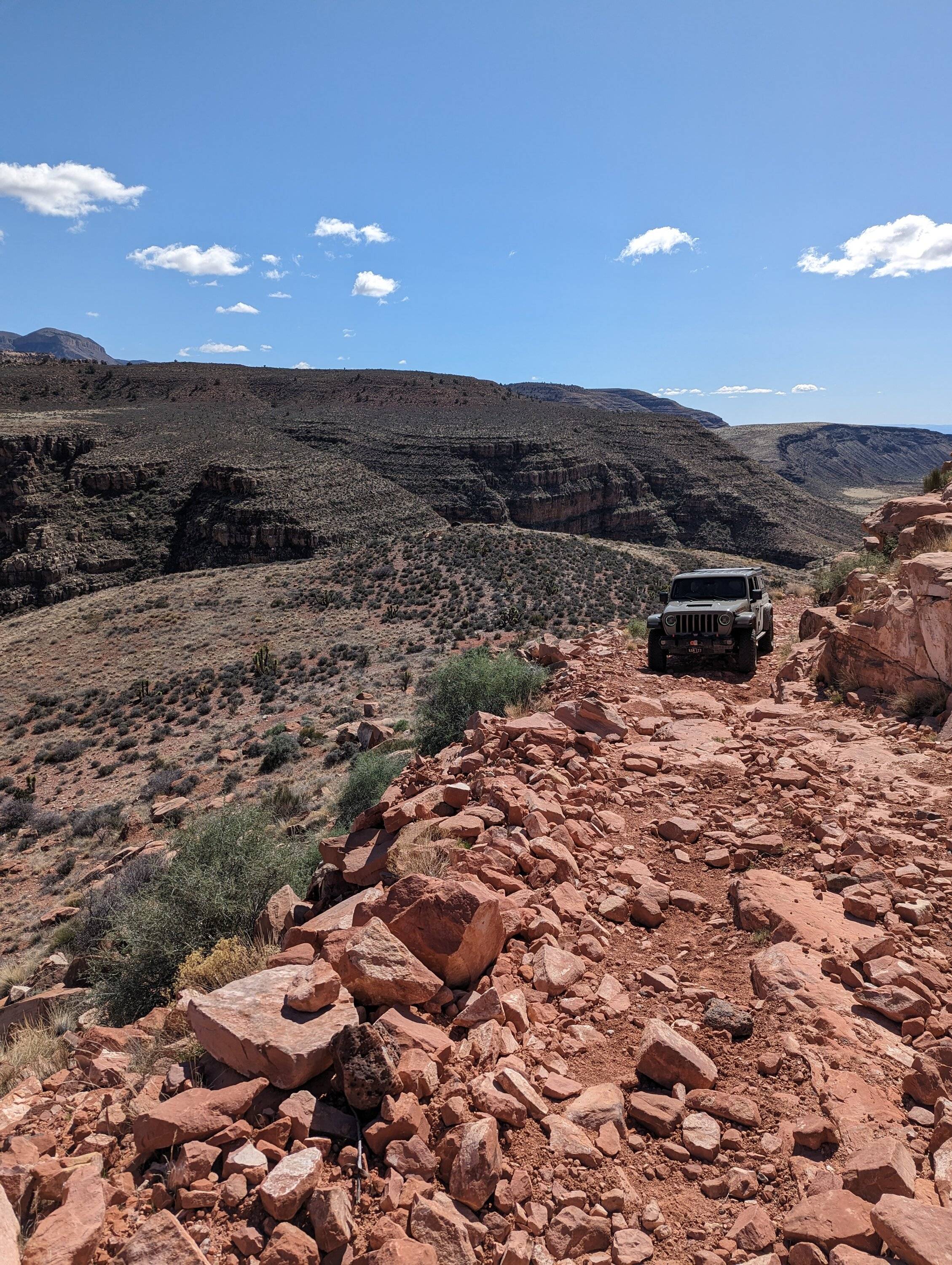 Jeep Gladiator What did you do WITH your Gladiator today? 1000014271