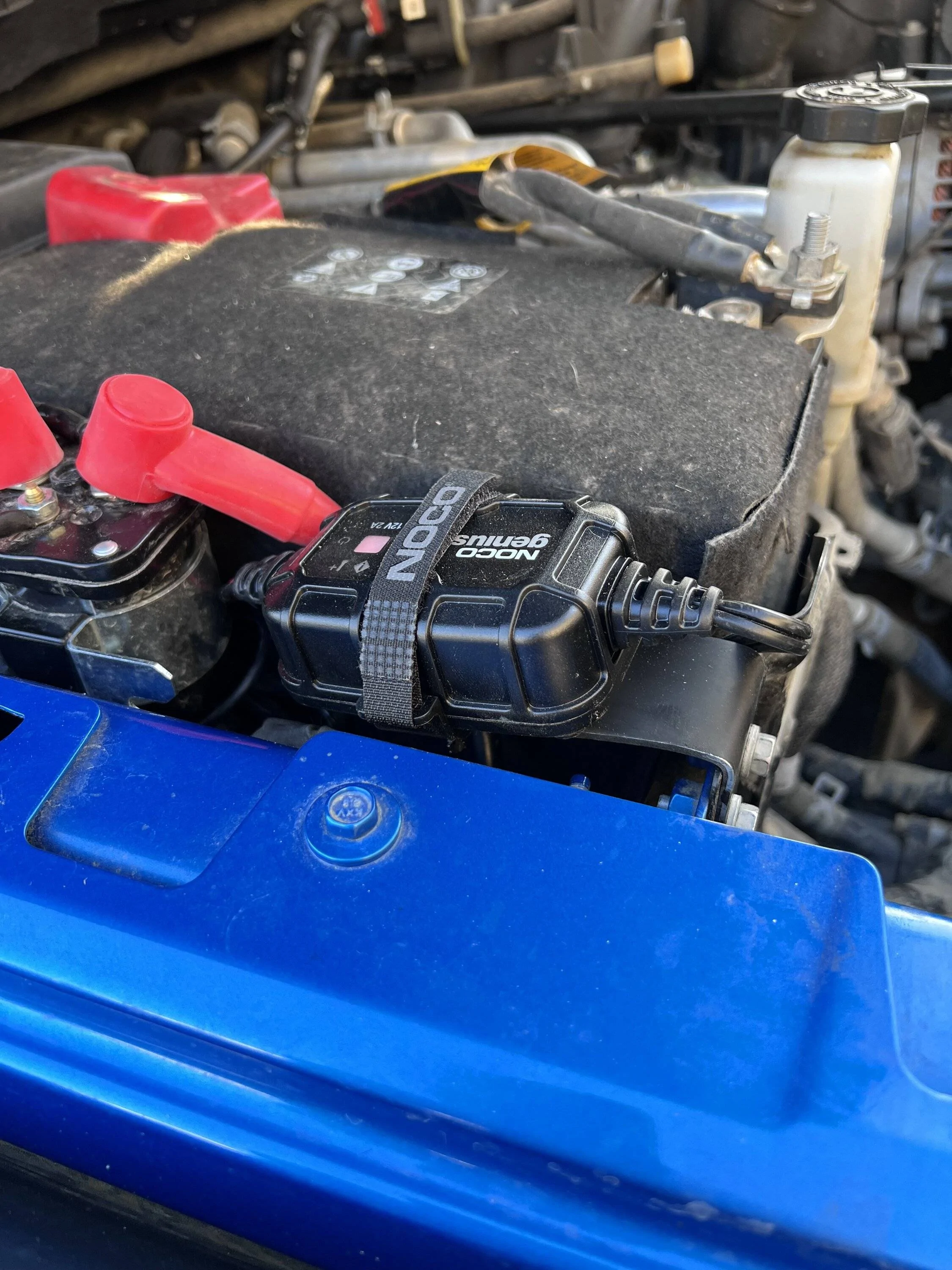 Jeep Gladiator What did you do TO your Gladiator today? [ADMIN WARNING: NO POLITICS, NO GUN TALK] IMG_1488