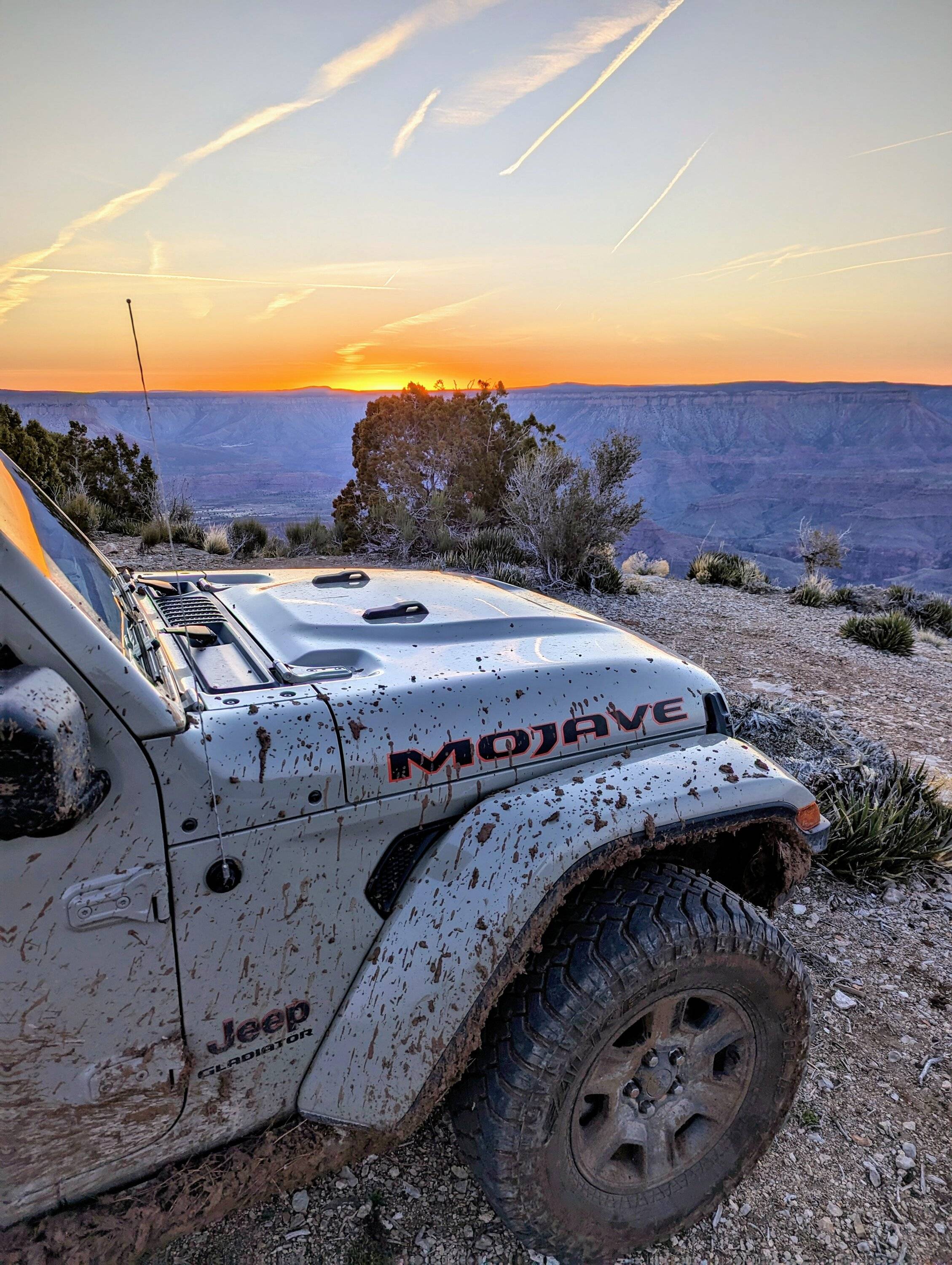 Jeep Gladiator What did you do WITH your Gladiator today? 1000014650