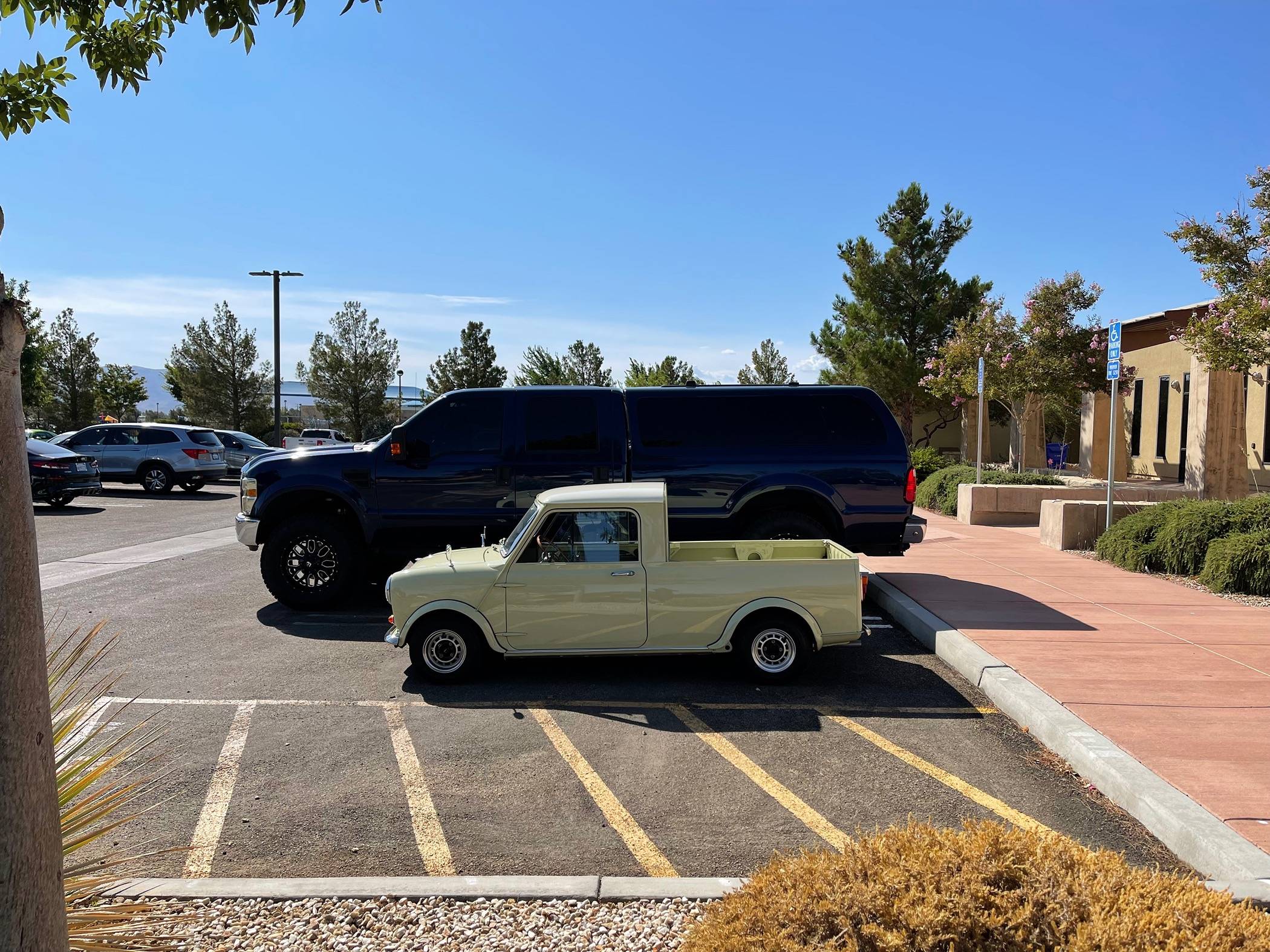 IMG_6801.jpeg