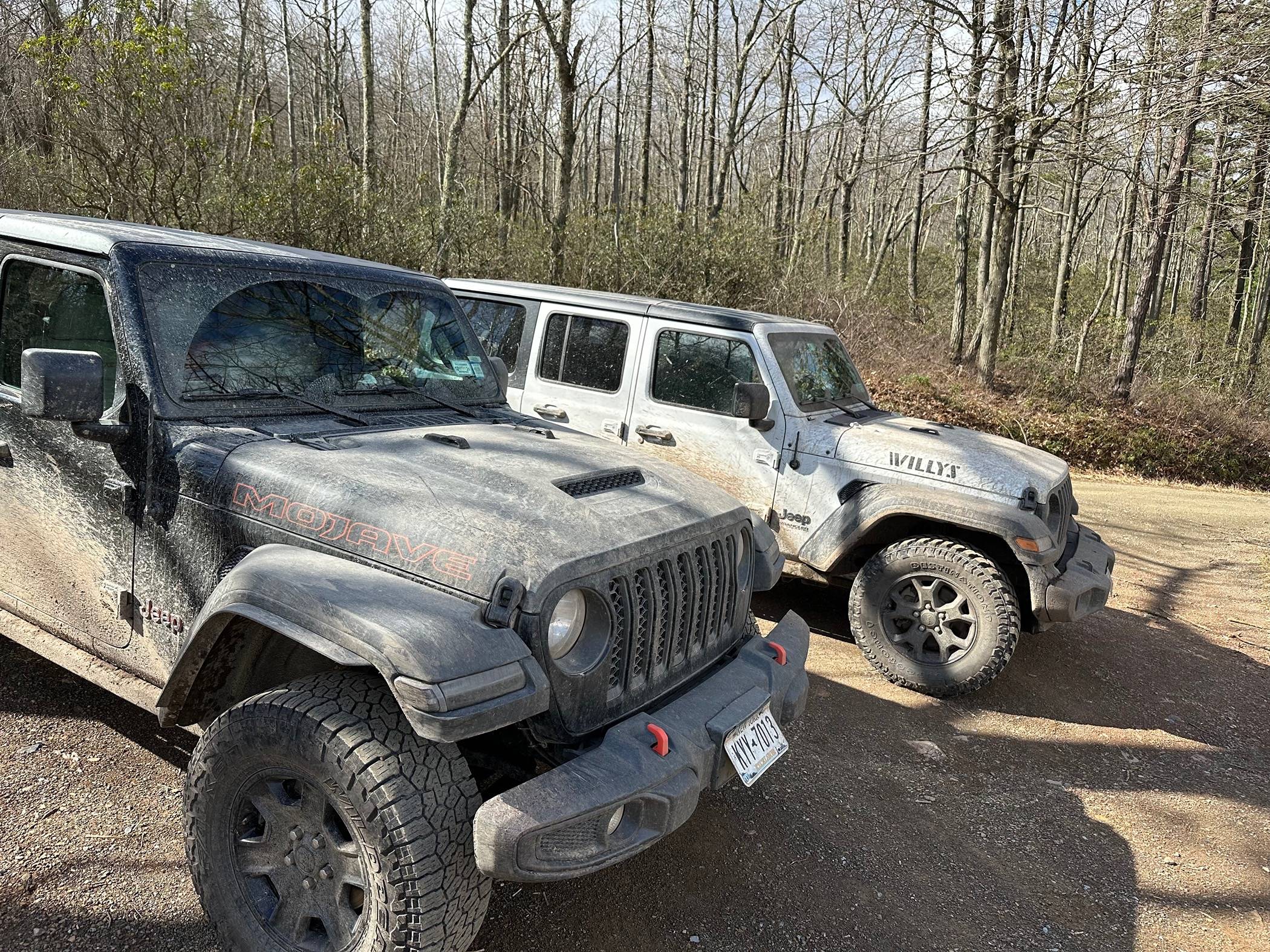 Jeep Gladiator Bald Eagle State Forest Overlanding IMG_9205