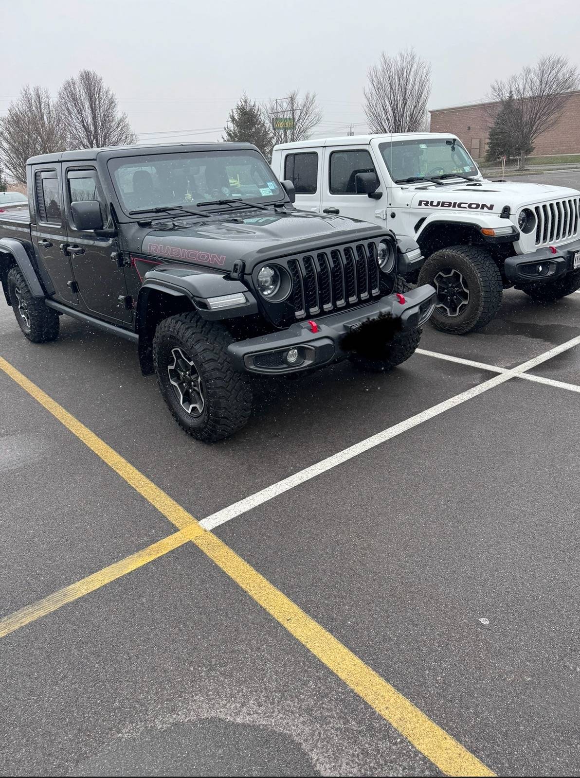 Jeep Gladiator Jeeps Parking Next To Jeeps IMG_8812