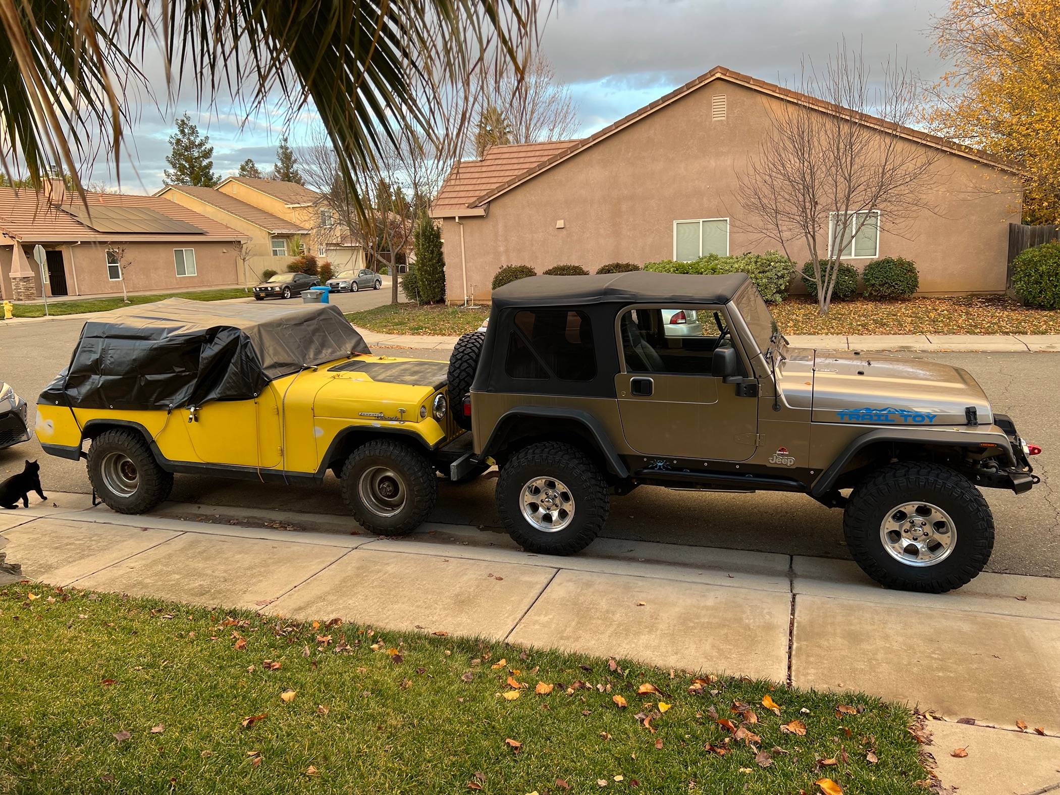 Jeep Gladiator Post Your Jeep "Fleet" Pics! IMG_2545