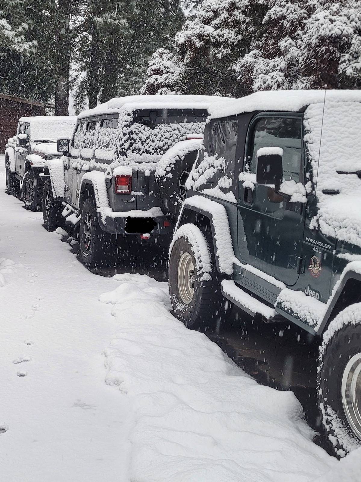Jeep Gladiator Post Your Jeep "Fleet" Pics! 20240218_073122~2