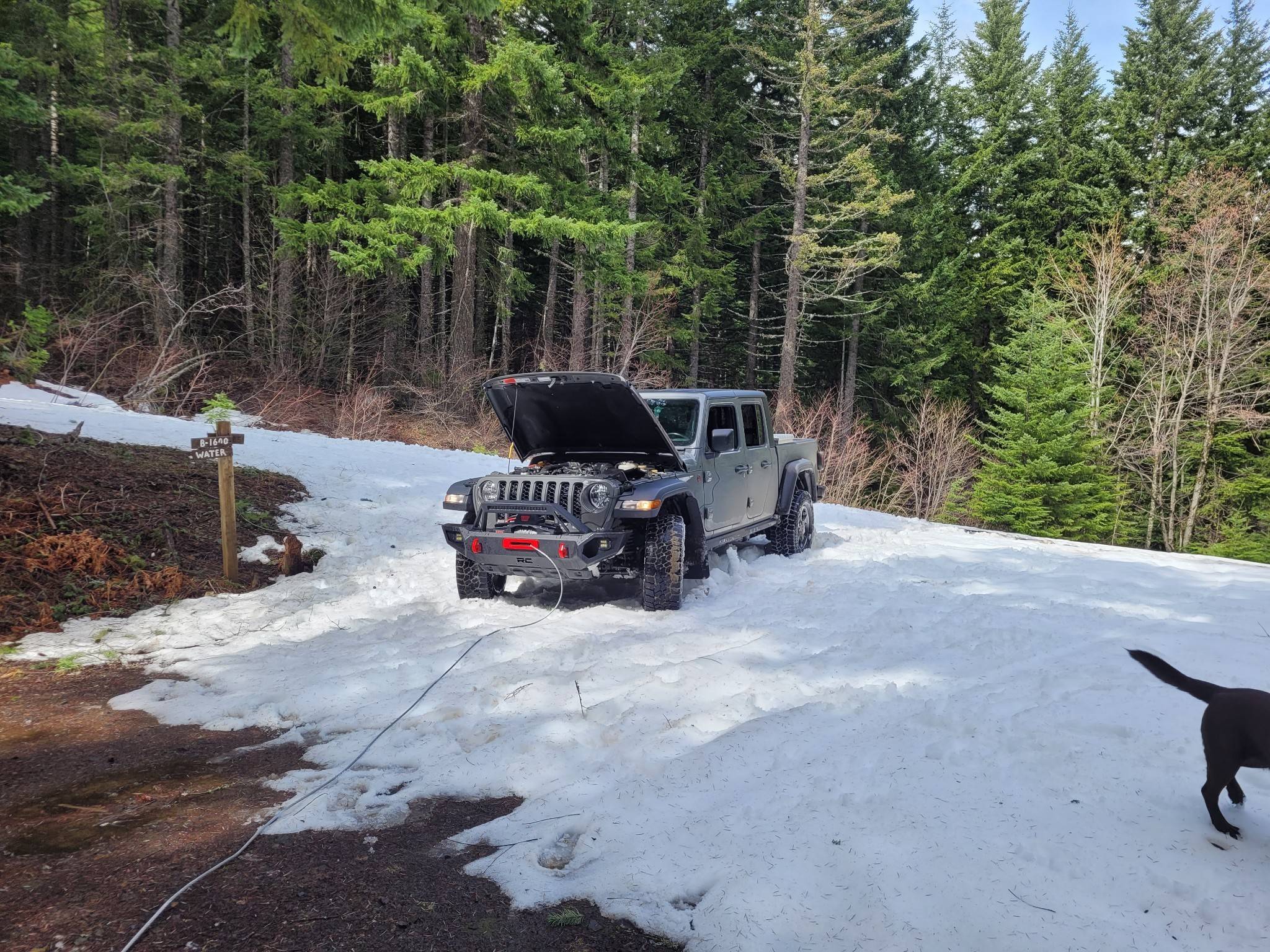 Jeep Gladiator What did you do WITH your Gladiator today? IMG_20240321_213929