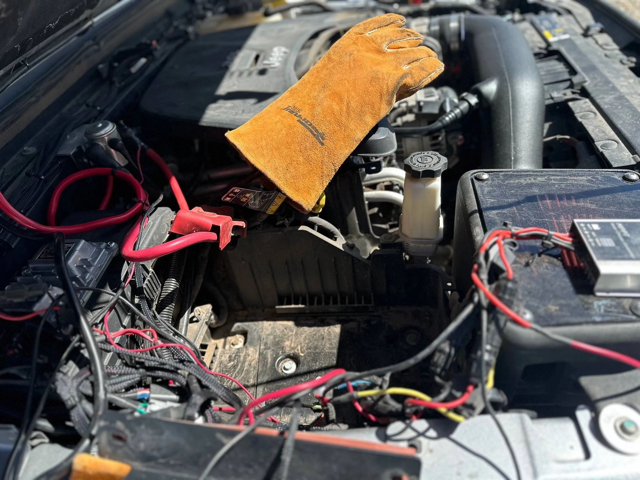 Jeep Gladiator What did you do TO your Gladiator today? [ADMIN WARNING: NO POLITICS, NO GUN TALK] IMG_8634