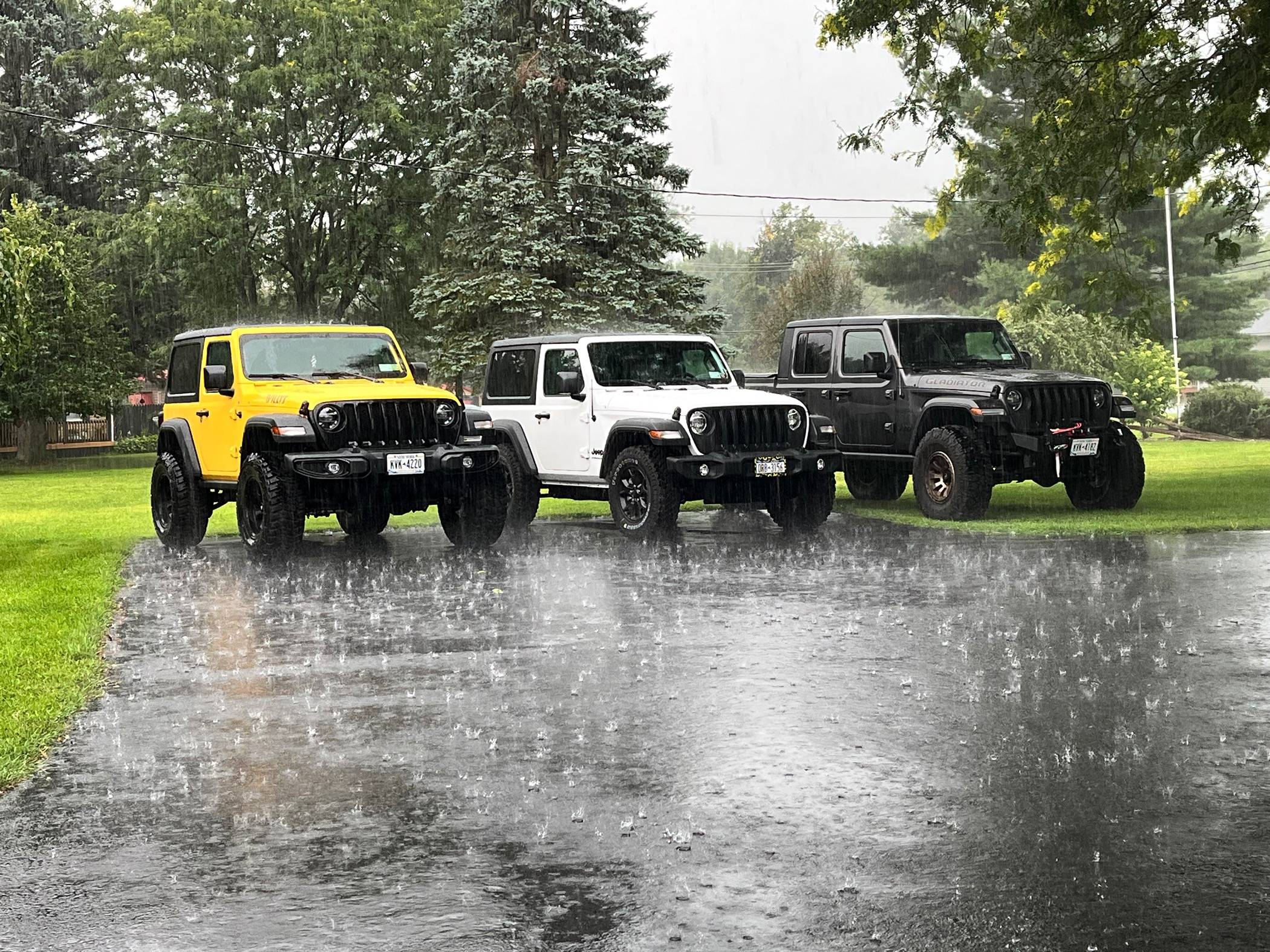 Jeep Gladiator Post Your Jeep "Fleet" Pics! 71356198276__F9BF52B5-E116-483B-8F8C-EB3C69D9822E