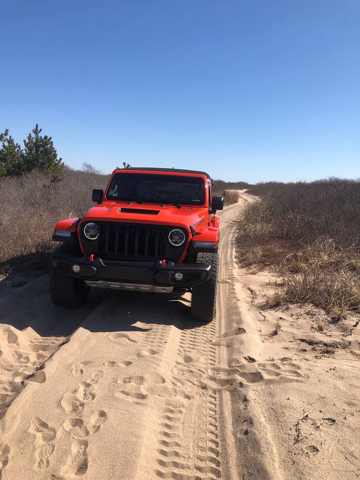 Jeep Gladiator Building Nemo - A Punk'n Mojave shoreline adventure IMG_8037
