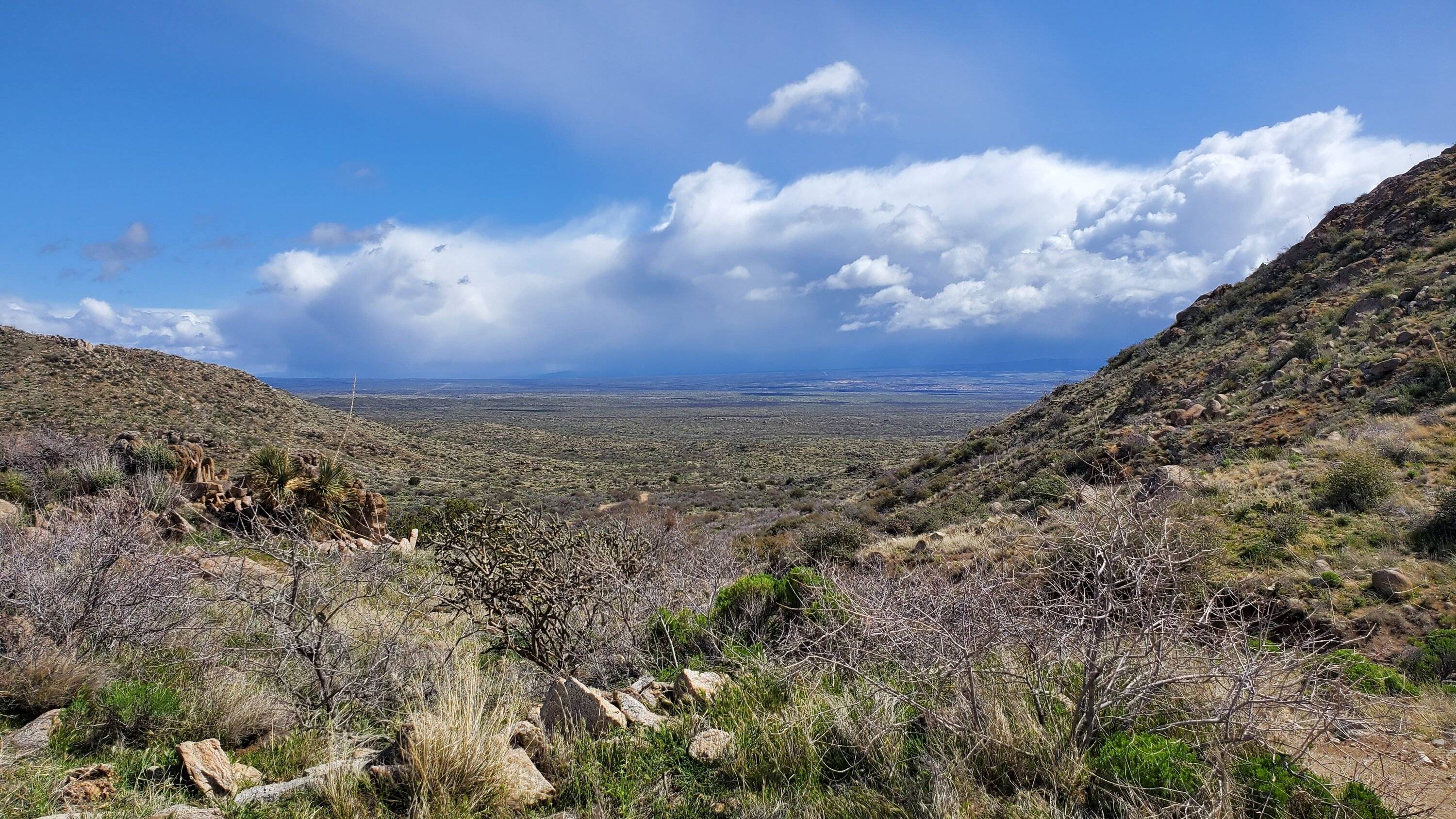 Jeep Gladiator Tortolita Pass Trail (Catalina Mountains) - Oracle/Marana/Tucson, AZ 20240324_102142