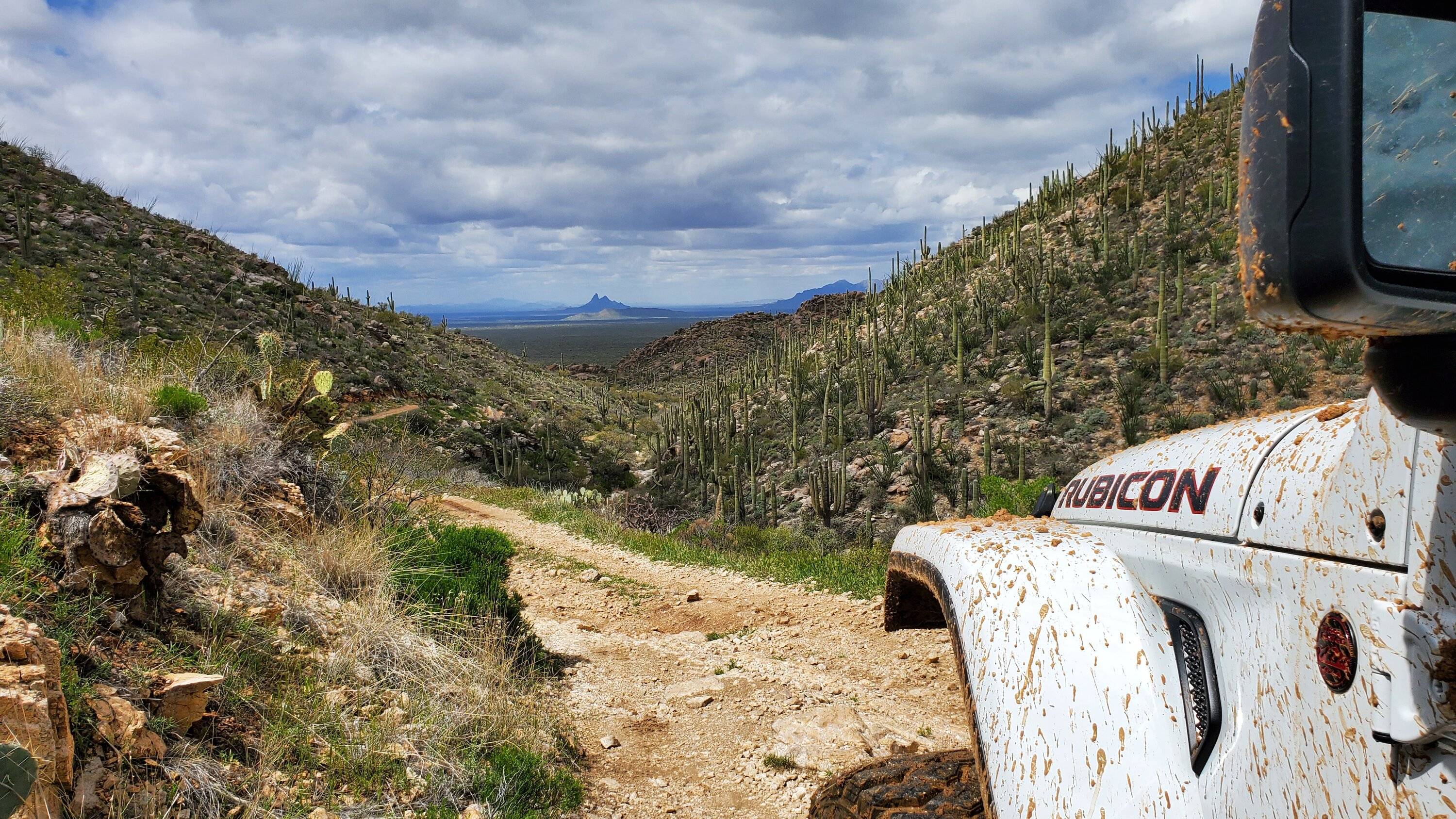 Jeep Gladiator Tortolita Pass Trail (Catalina Mountains) - Oracle/Marana/Tucson, AZ 20240324_123124