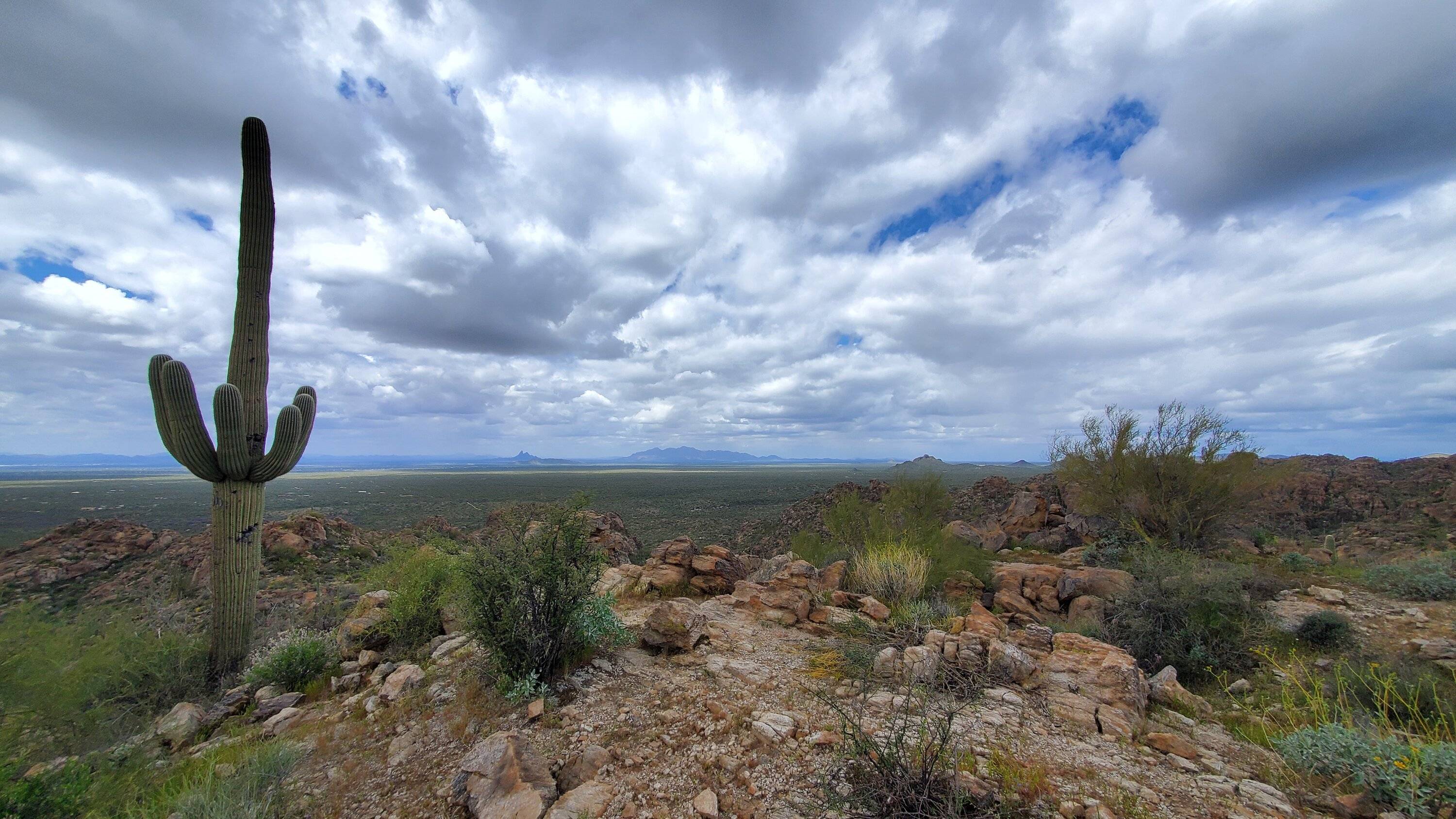 Jeep Gladiator Tortolita Pass Trail (Catalina Mountains) - Oracle/Marana/Tucson, AZ 20240324_125155