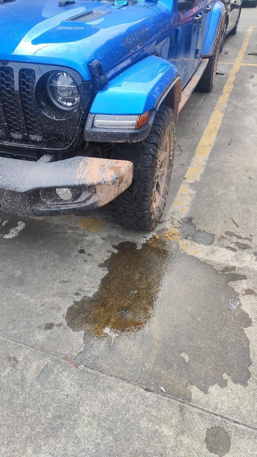 Jeep Gladiator What did you do TO your Gladiator today? [ADMIN WARNING: NO POLITICS, NO GUN TALK] 1711349482728-2c
