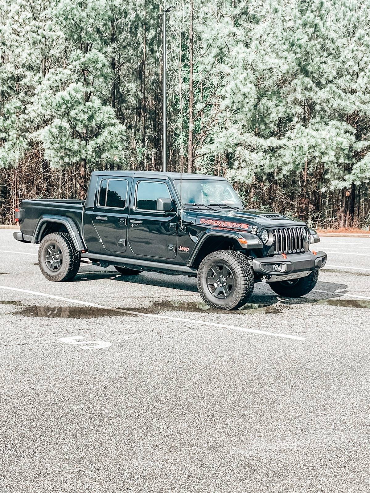 Jeep Gladiator Steps or Sliders....hhhmmm IMG_6182