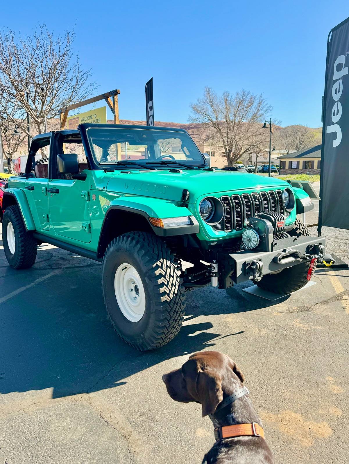 Jeep Gladiator Camping with your Gladiator IMG_3505