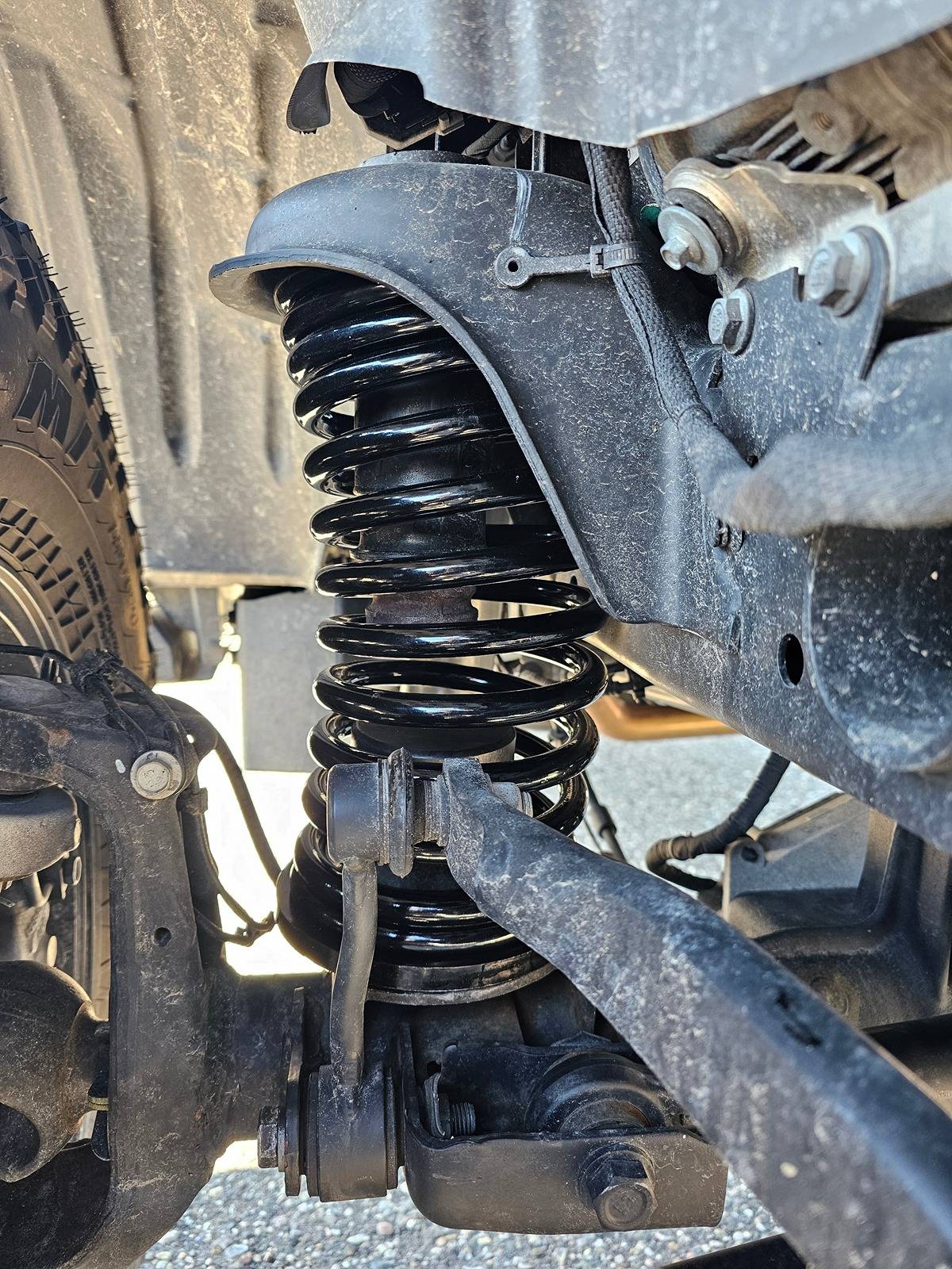 Jeep Gladiator Synergy front springs 8863-10 question/ BUMP STOPS 1000002049