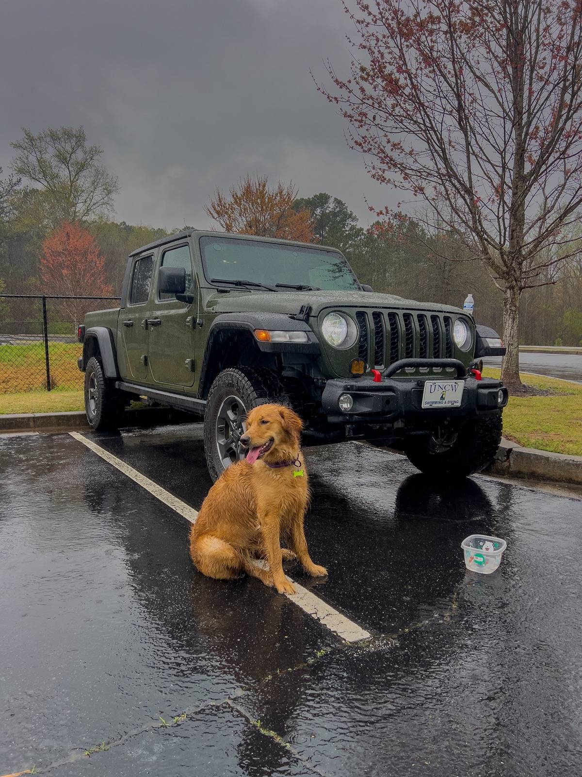 Jeep Gladiator Let’s see your pets cause they are the best companion you can have!!!!! IMG_8175