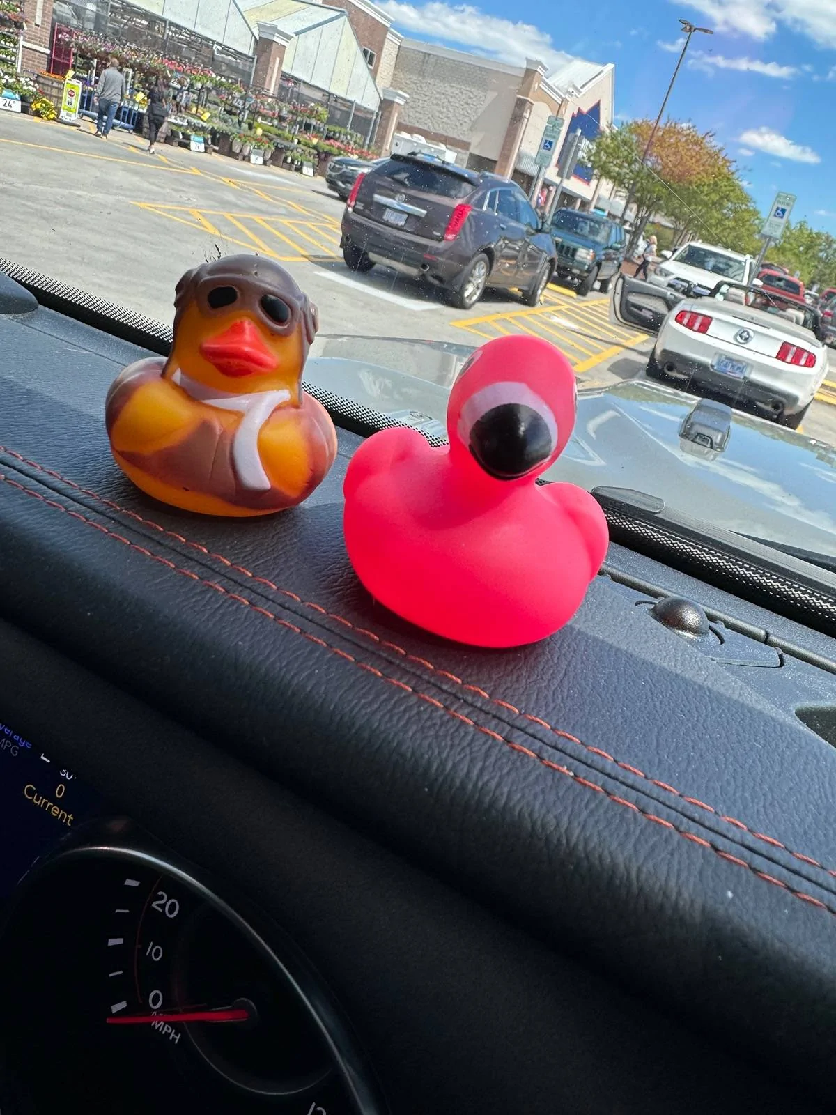 Jeep Gladiator Show me your DUCKS ! IMG_9422