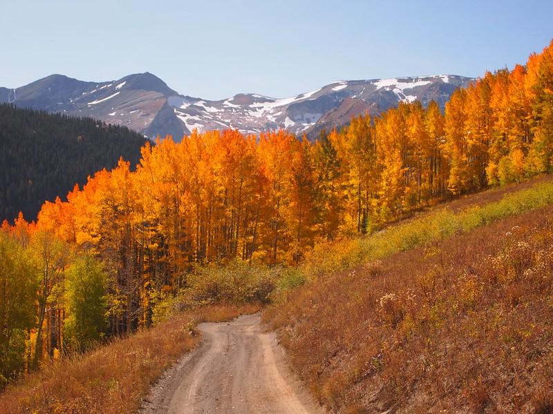 Jeep Gladiator Fall Colors Tour, Colorado; Lead King basin, Schofield & Kebler Passes i-svBhCsx-L