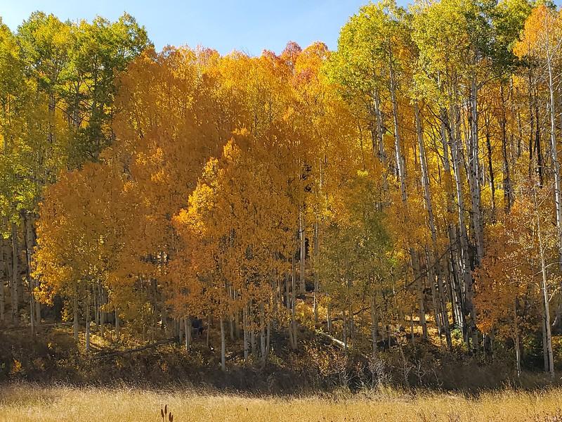 Jeep Gladiator Fall Colors Tour, Colorado; Lead King basin, Schofield & Kebler Passes i-XqBBNqL-L