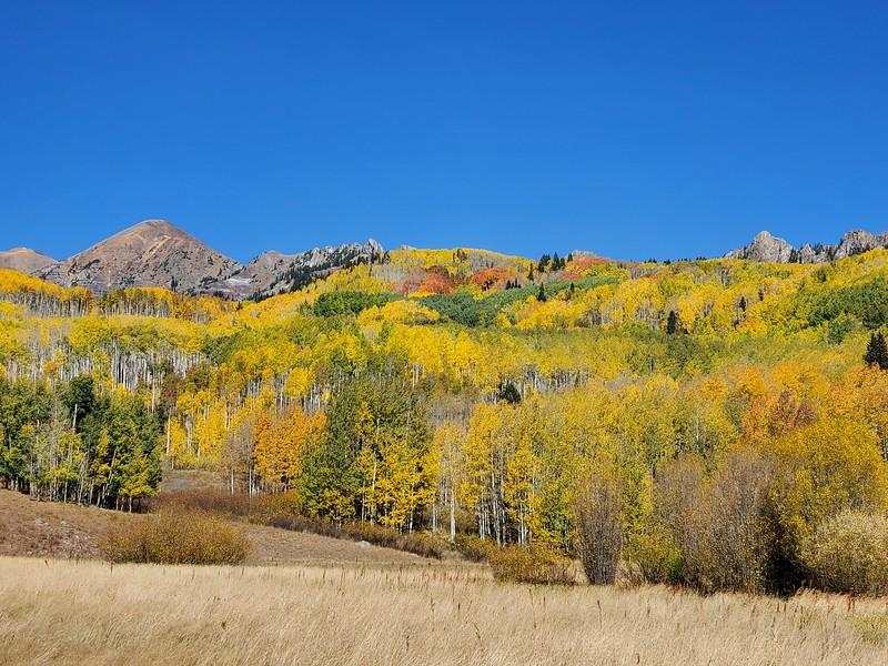 Jeep Gladiator Fall Colors Tour, Colorado; Lead King basin, Schofield & Kebler Passes i-J3J5kGz-L