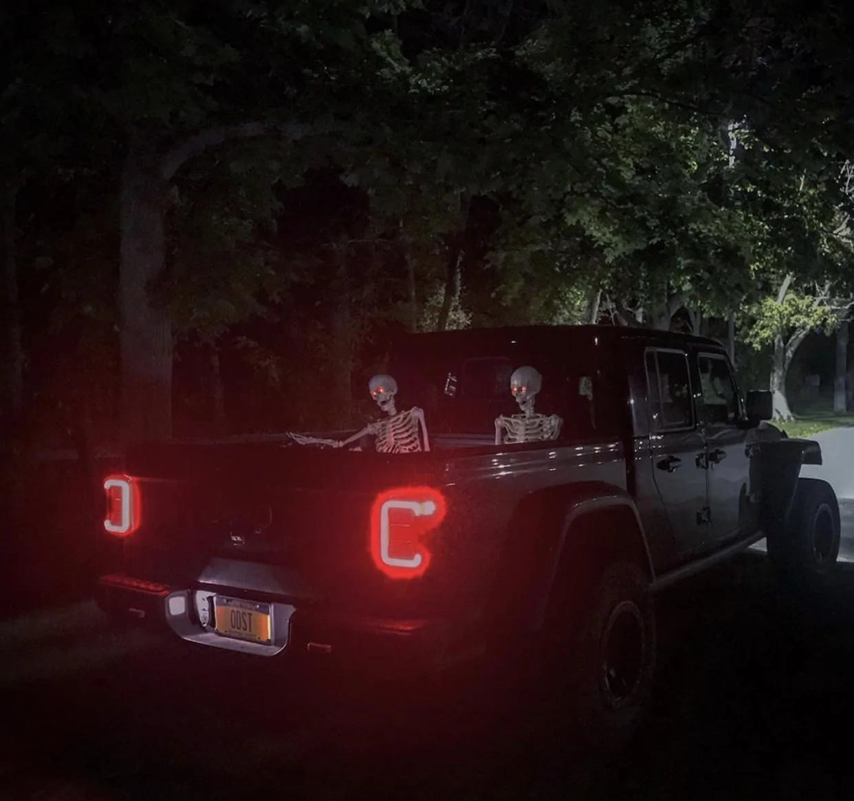Jeep Gladiator Finally the bed hauling... 8BB4B127-2FFA-44CC-8511-153A0B97FC01
