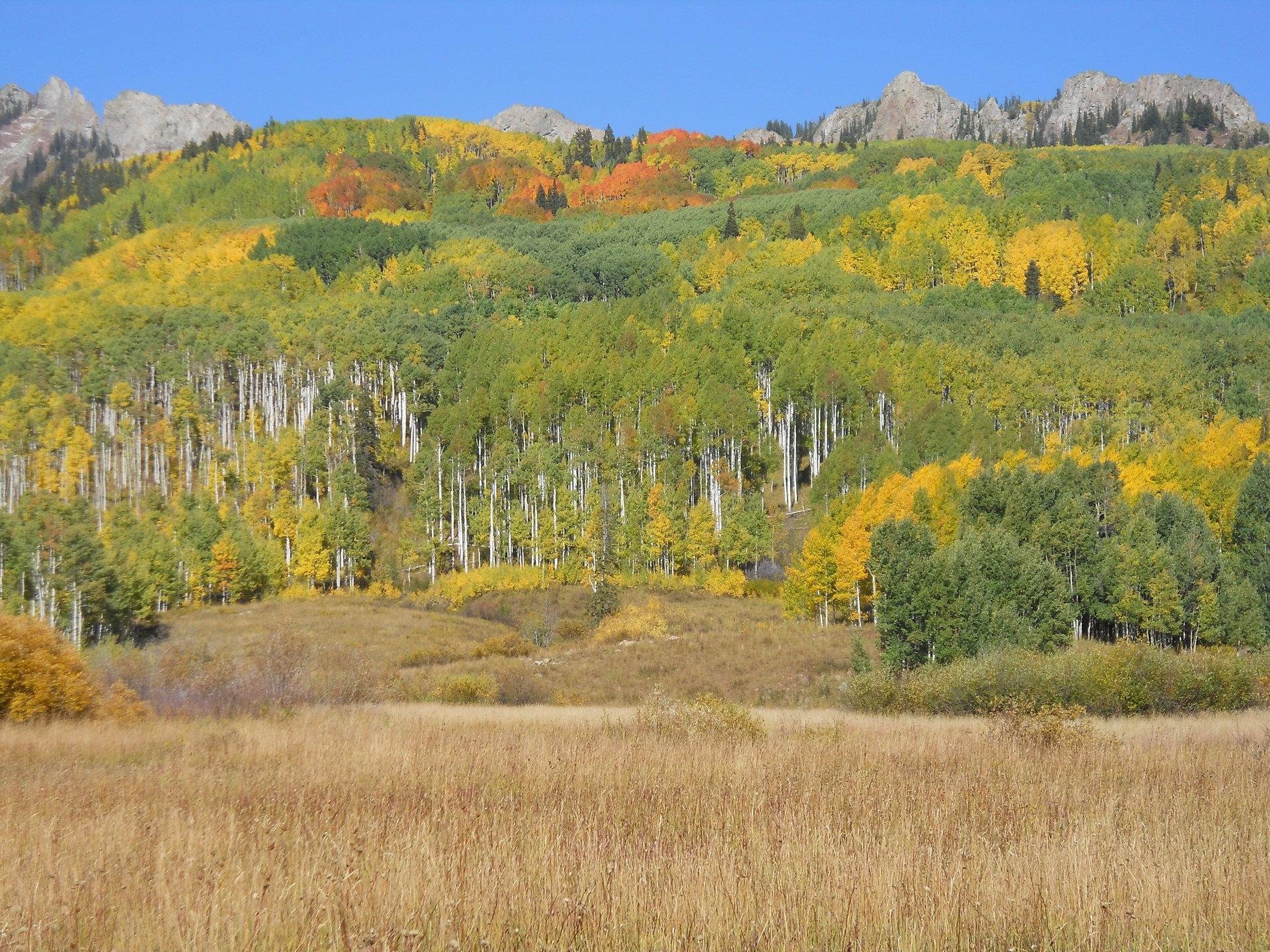 Jeep Gladiator Fall Colors Tour, Colorado; Lead King basin, Schofield & Kebler Passes DSCN0271.JPG