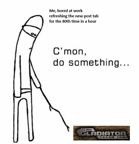 OIP.jpg