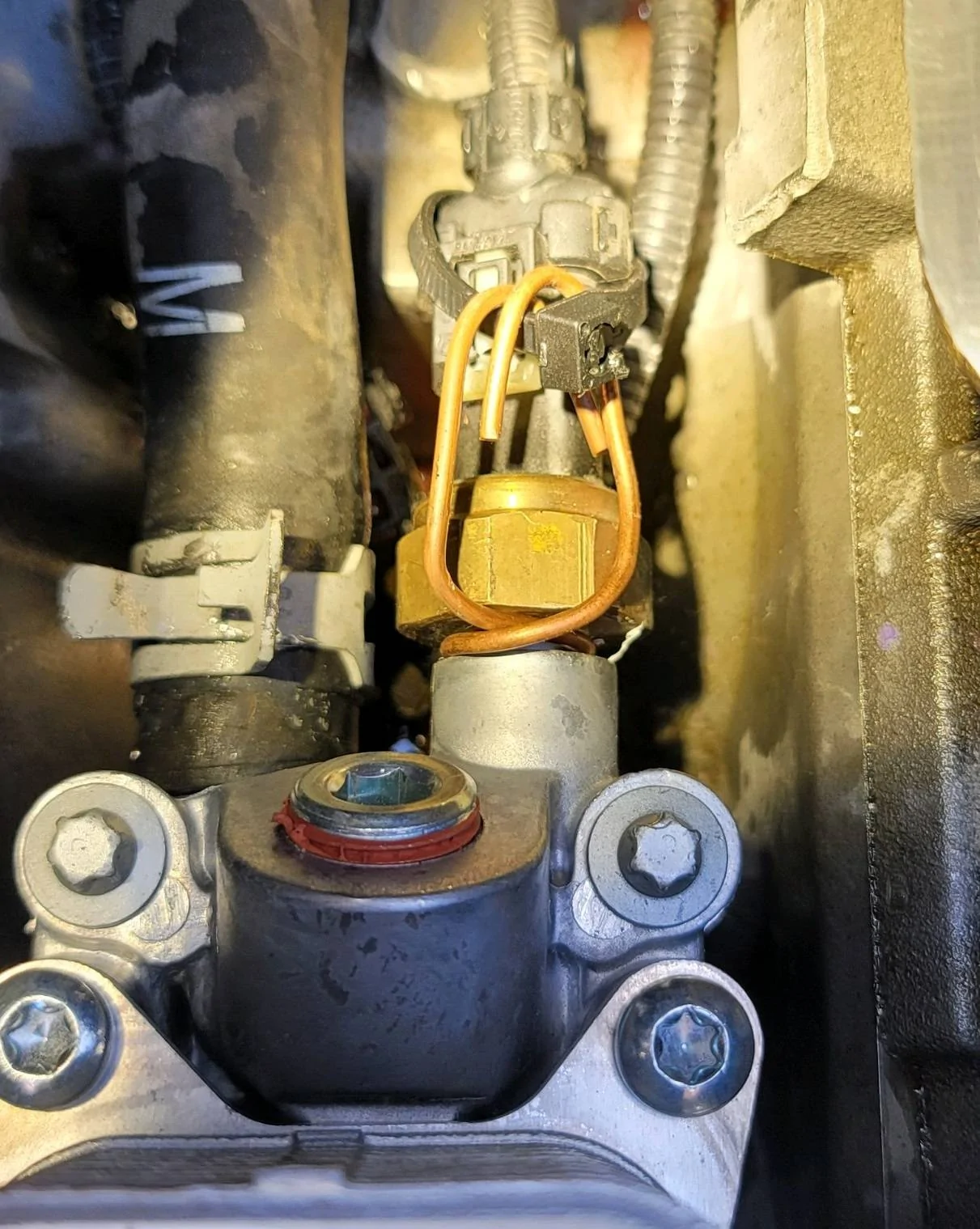 Jeep Gladiator EgulAye's mild hunting build (is it an overland build?) 1691