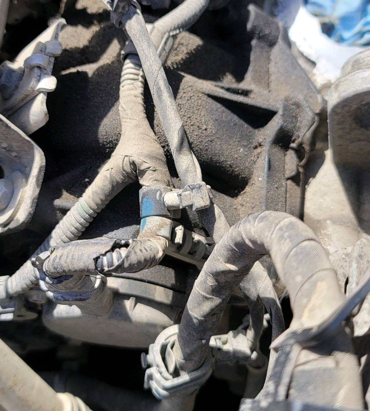 Jeep Gladiator EgulAye's mild hunting build (is it an overland build?) 1703