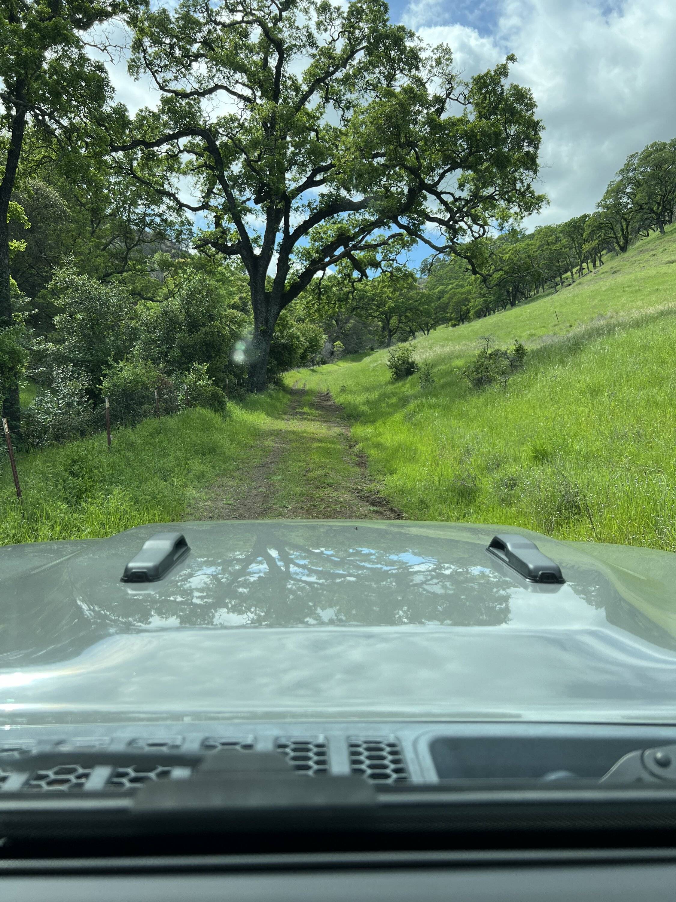 Jeep Gladiator Went exploring and just wanted to share IMG_7694