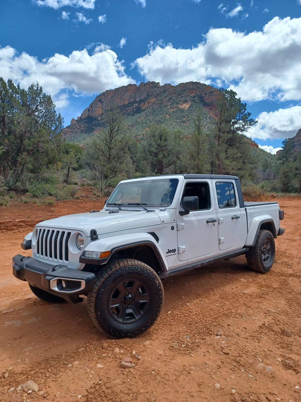 Jeep Gladiator Level kit Height & Brand suggestions 1000006163