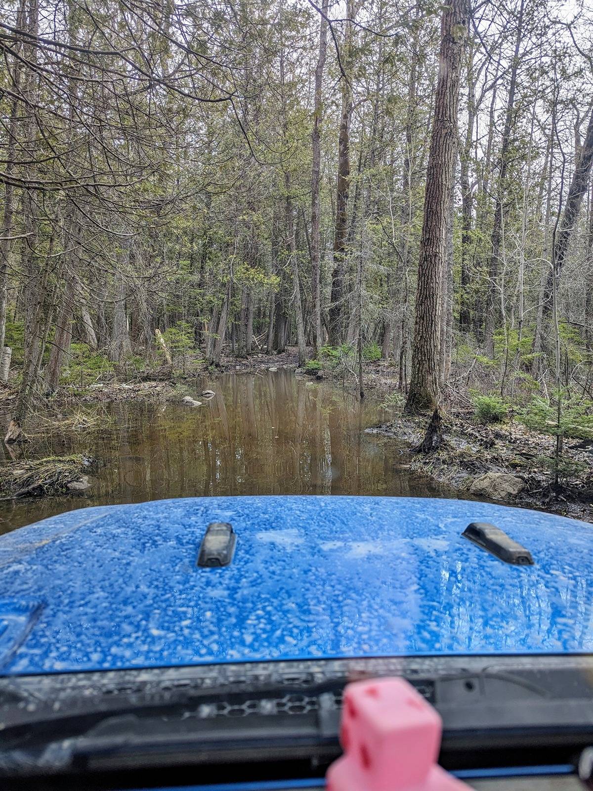 Jeep Gladiator What did you do WITH your Gladiator today? PXL_20240420_153101812