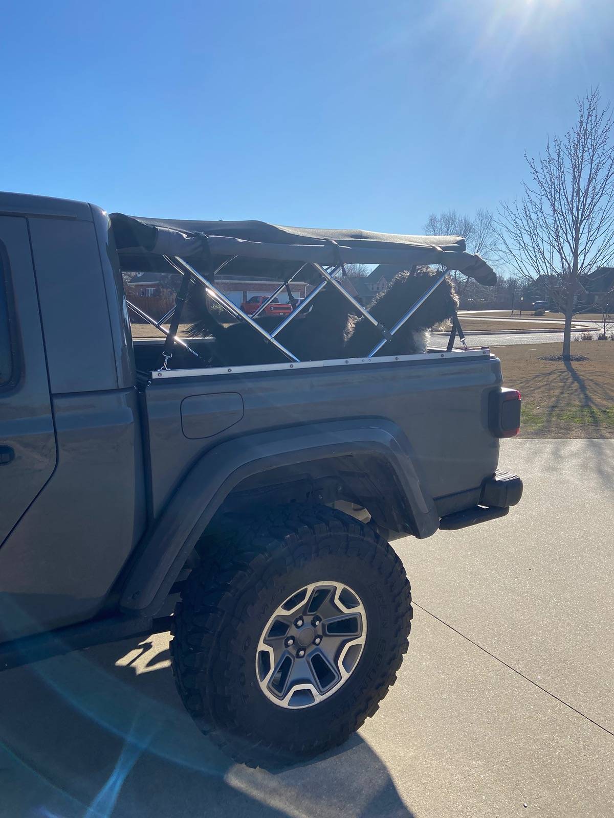 Jeep Gladiator Functional Bed Rack/Topper Suggestions IMG_7328