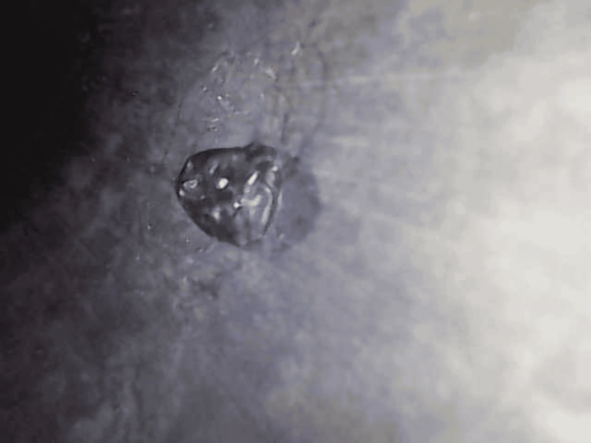 IMG_2341.png