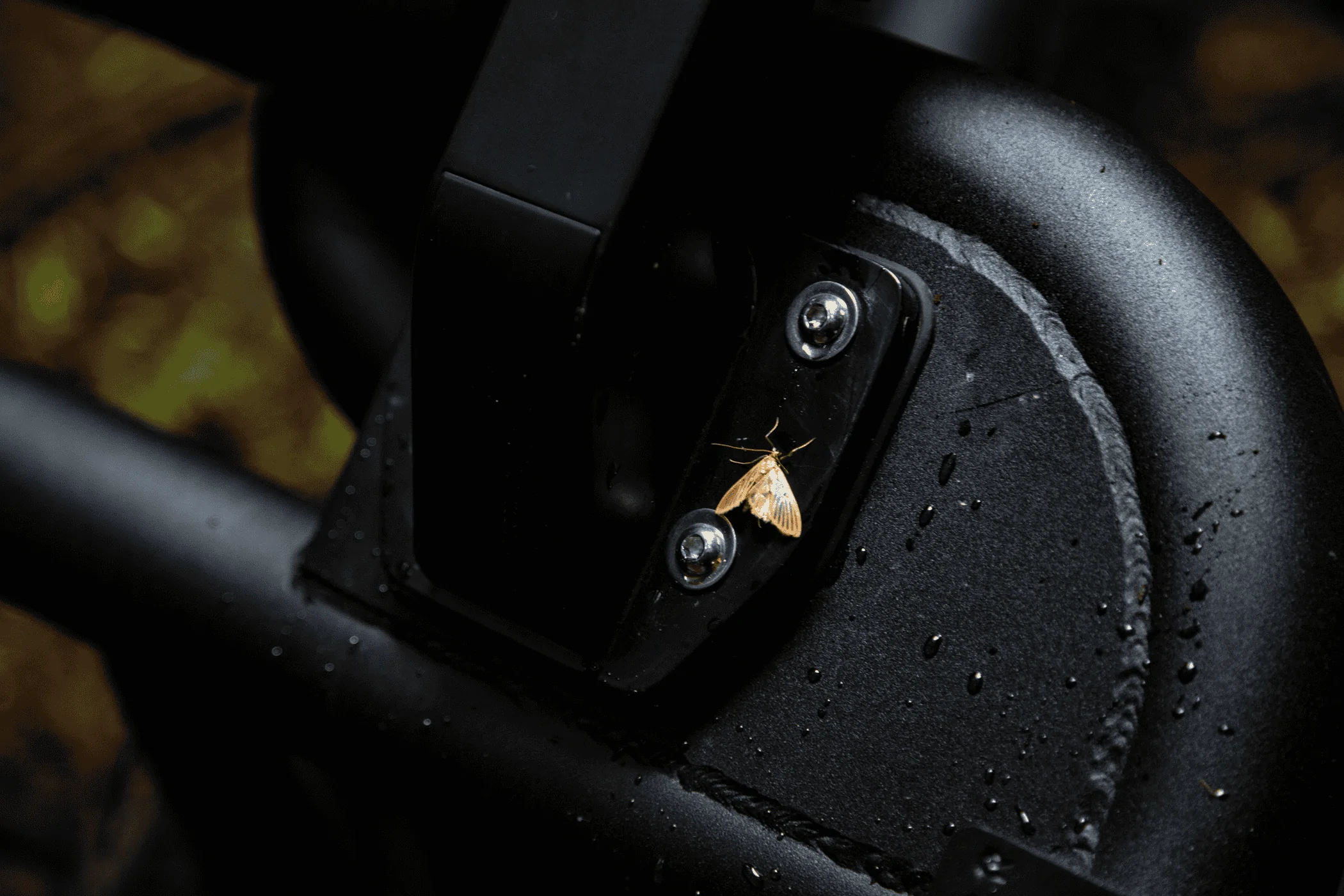 2E8A4810.webp